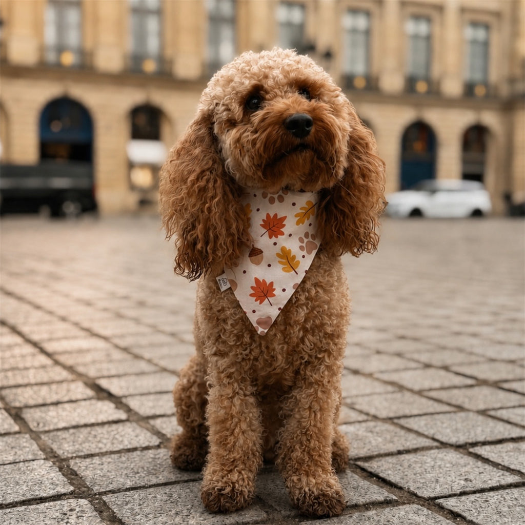 A small brown curly-haired dog sits on a stone plaza wearing a cream bandana with an autumn leaf pattern, with a blurred city building in the background.