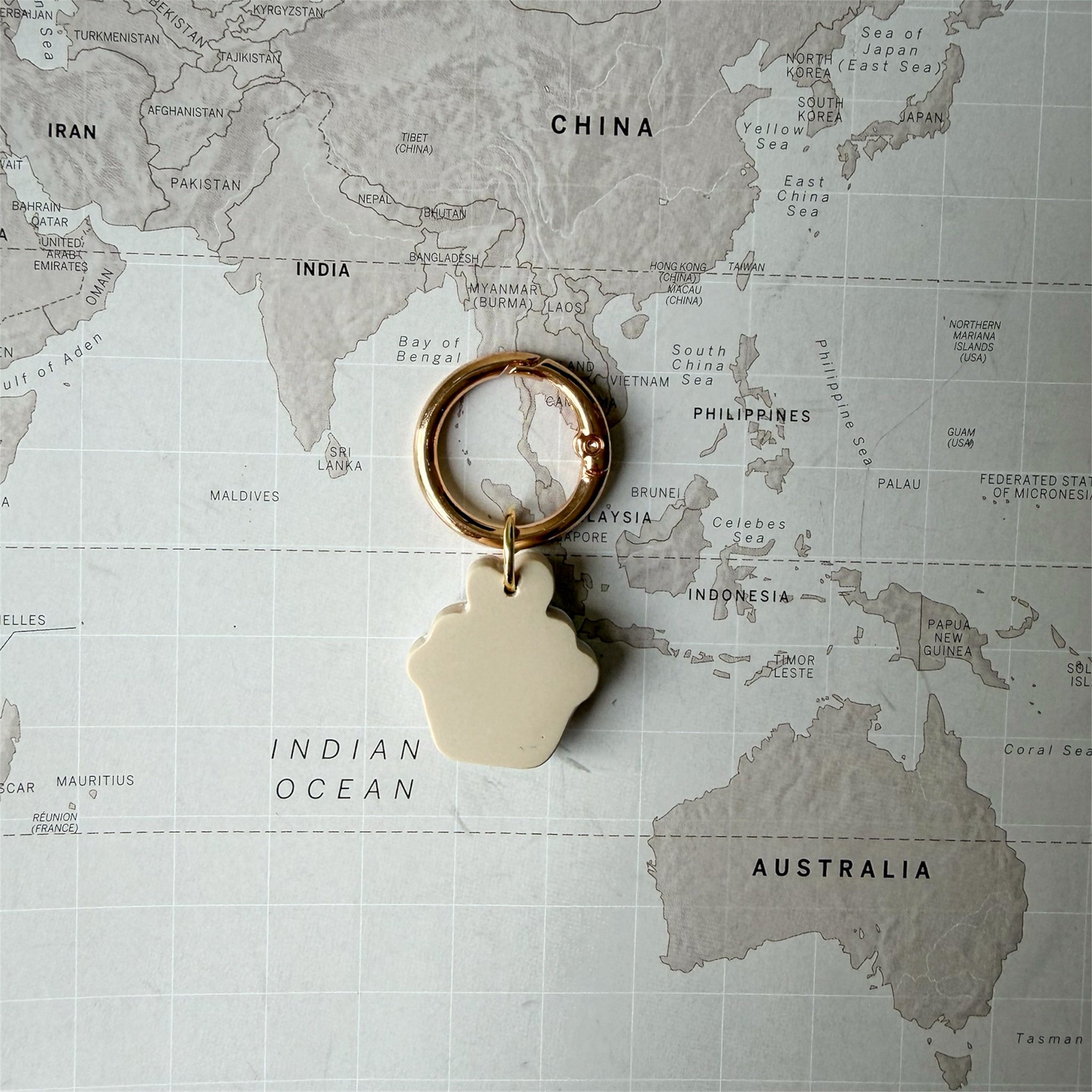 Back side of the dog tag shaped as a cupcake on a world map background.