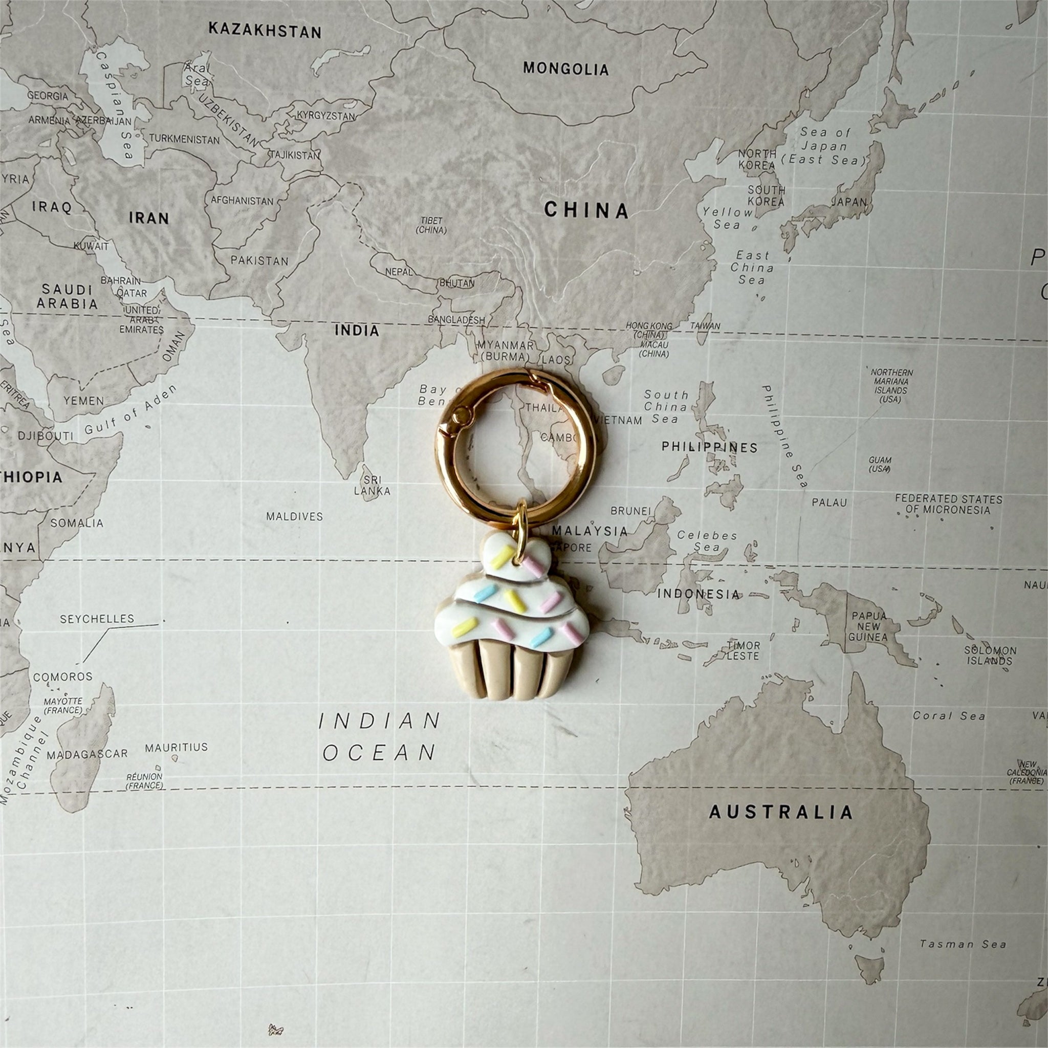 Dog tag shaped as a cupcake on a world map background.