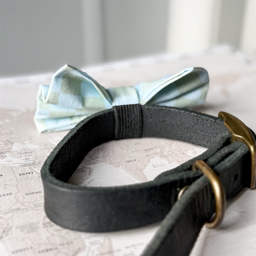 A dark charcoal gray textured dog collar with brass hardware, displayed on a vintage-style world map next to a light blue and sage bow tie.