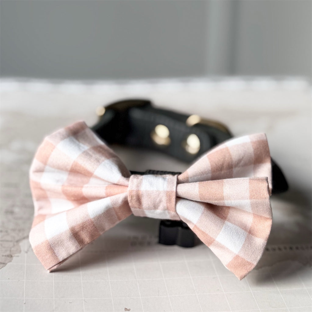A beige and white gingham  dog bow tie displayed in front of a black leather collar with gold-tone hardware, set against a neutral gray background.