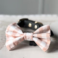 A beige and white gingham  dog bow tie displayed in front of a black leather collar with gold-tone hardware, set against a neutral gray background.