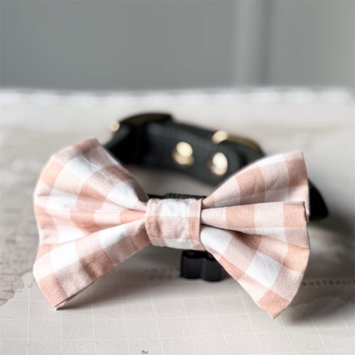A beige and white gingham  dog bow tie displayed in front of a black leather collar with gold-tone hardware, set against a neutral gray background.