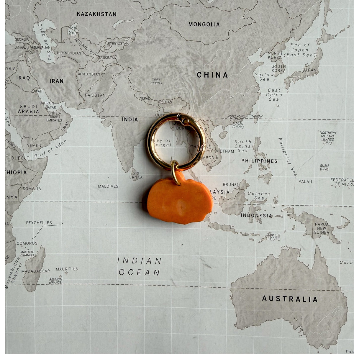 Back side of the Happy Pumpkin Dog Tag in orange on a world map background.