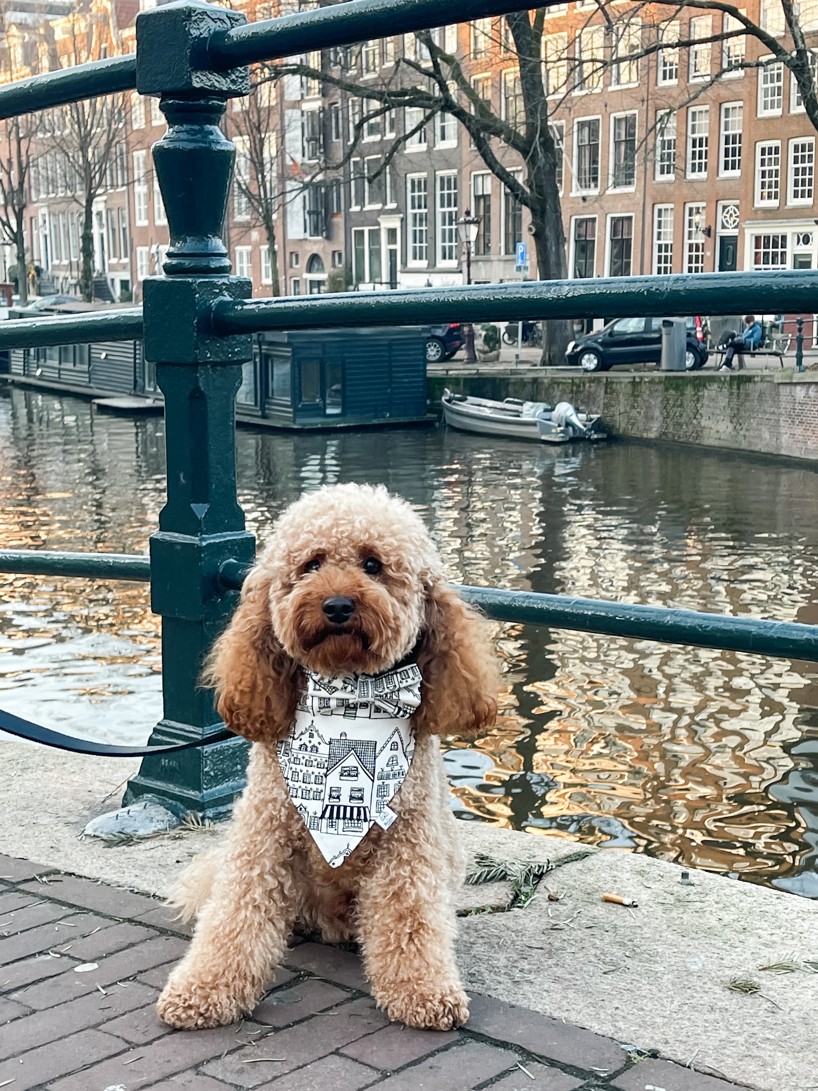 Amsterdam Bandana