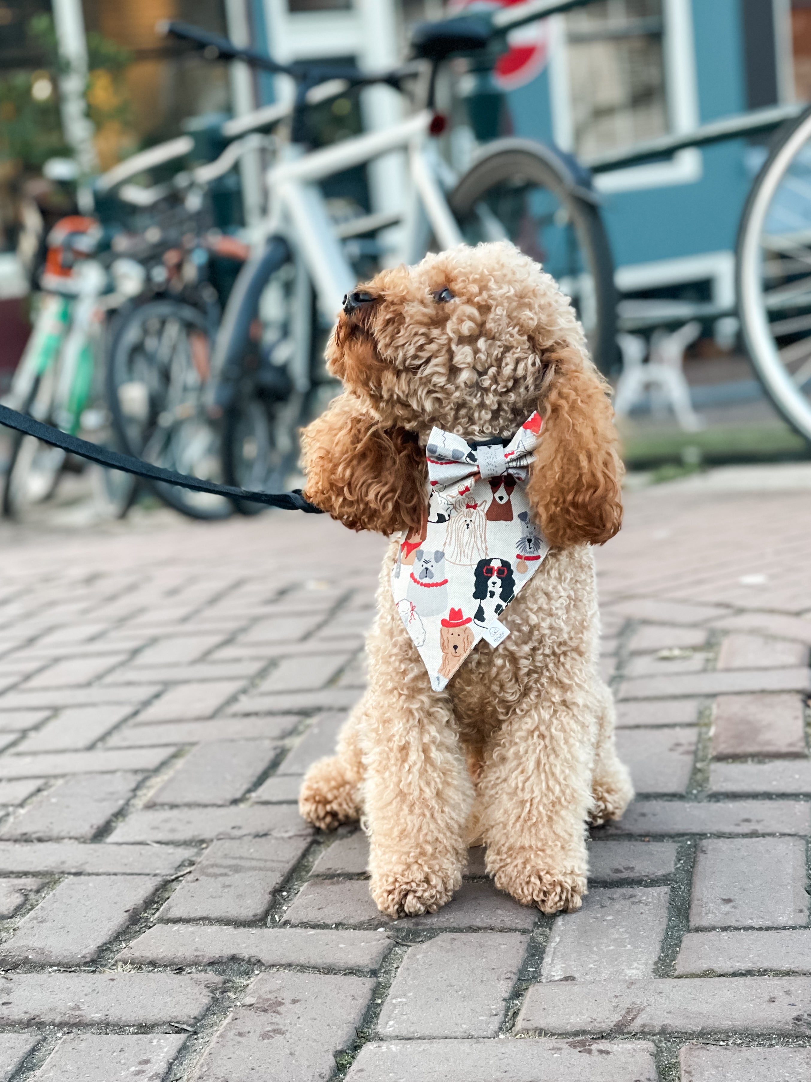 Cute Dogs Bow