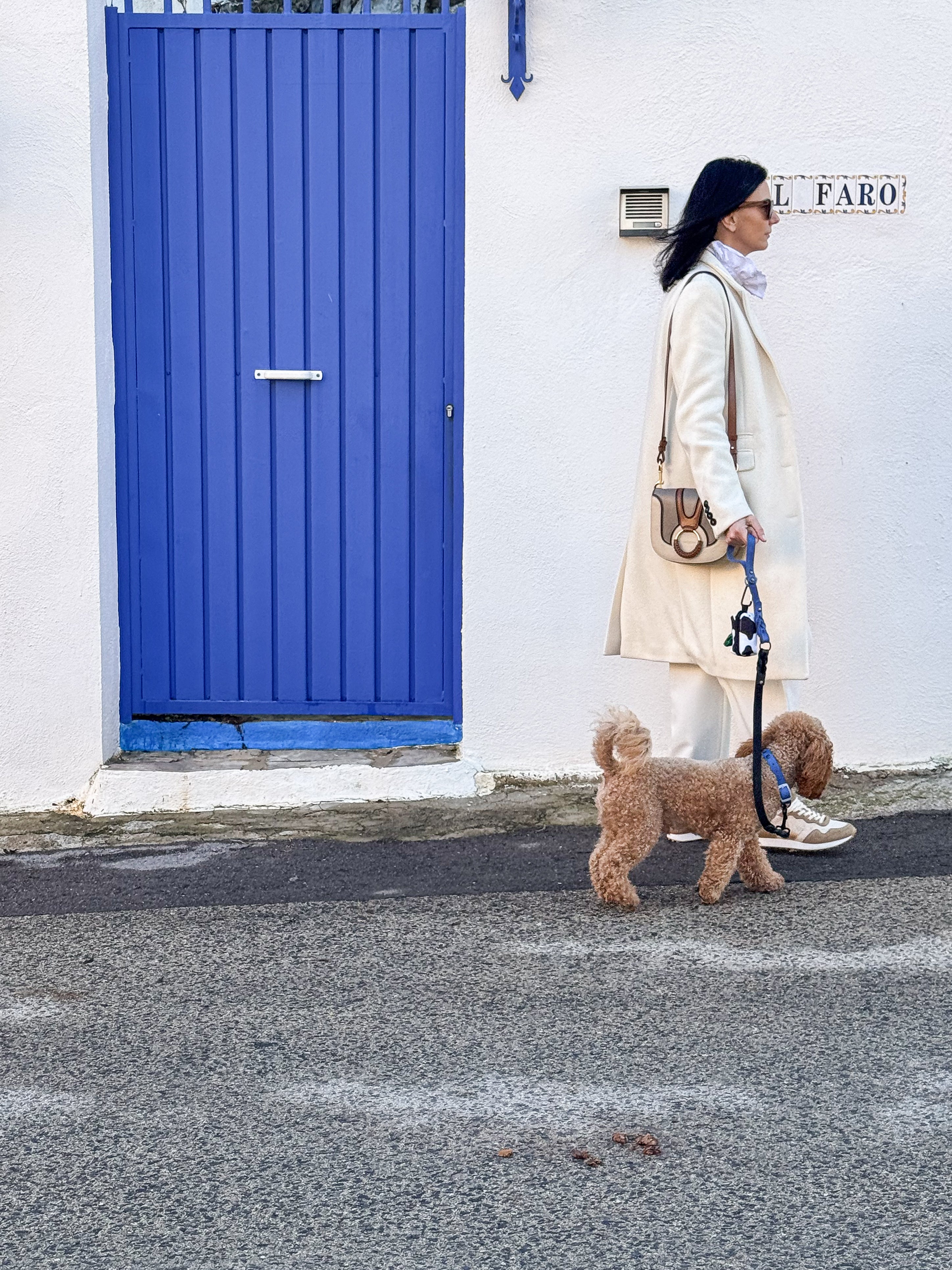 Greased Leather Royal Blue Dog Collar