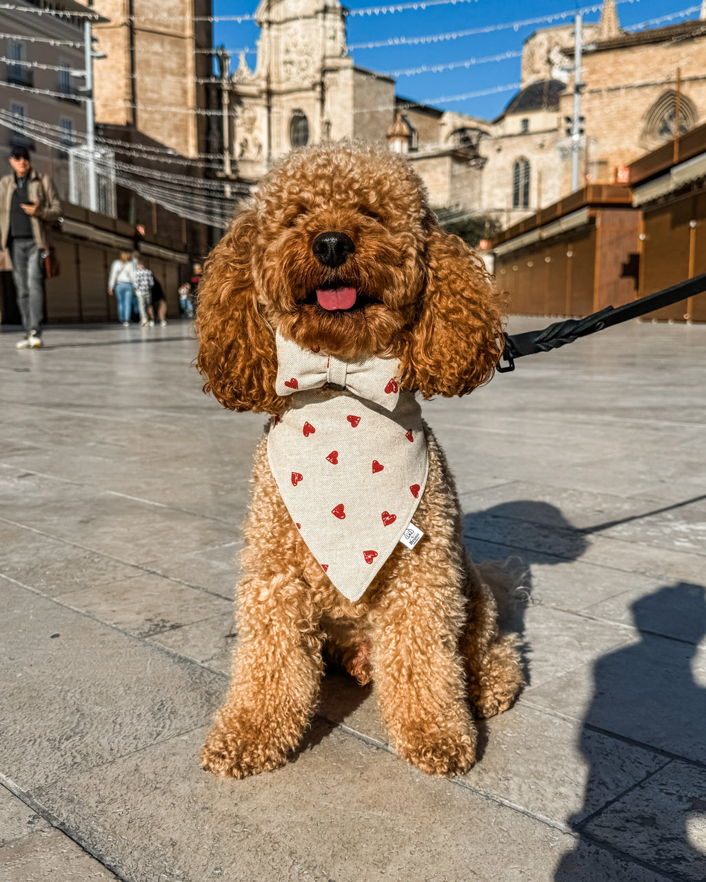 Hearts Bandana