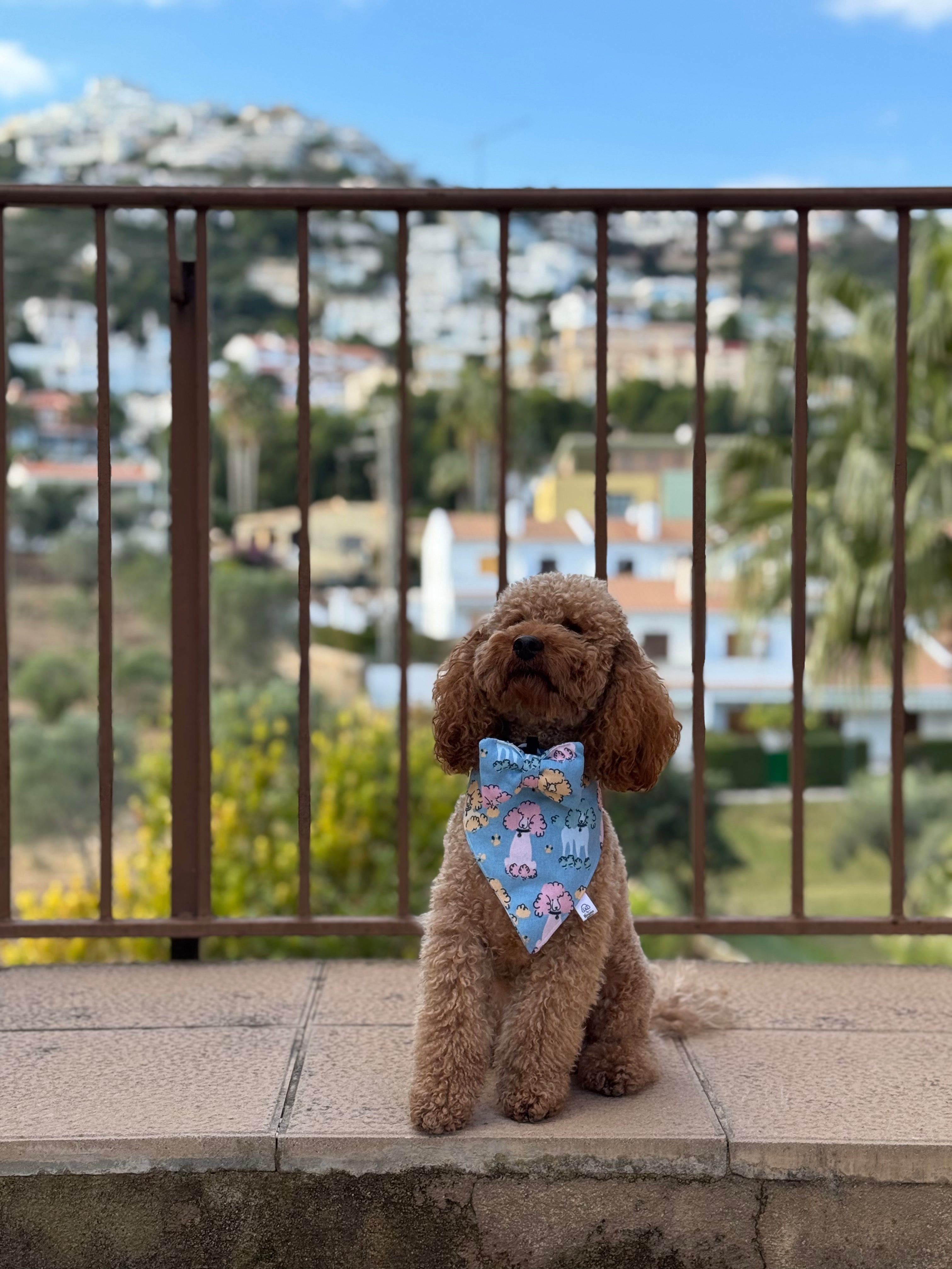 Poodles Bandana