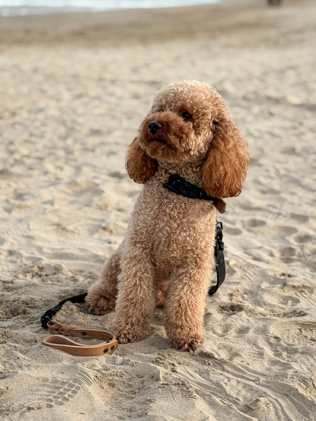 Greased Leather Leash Camel