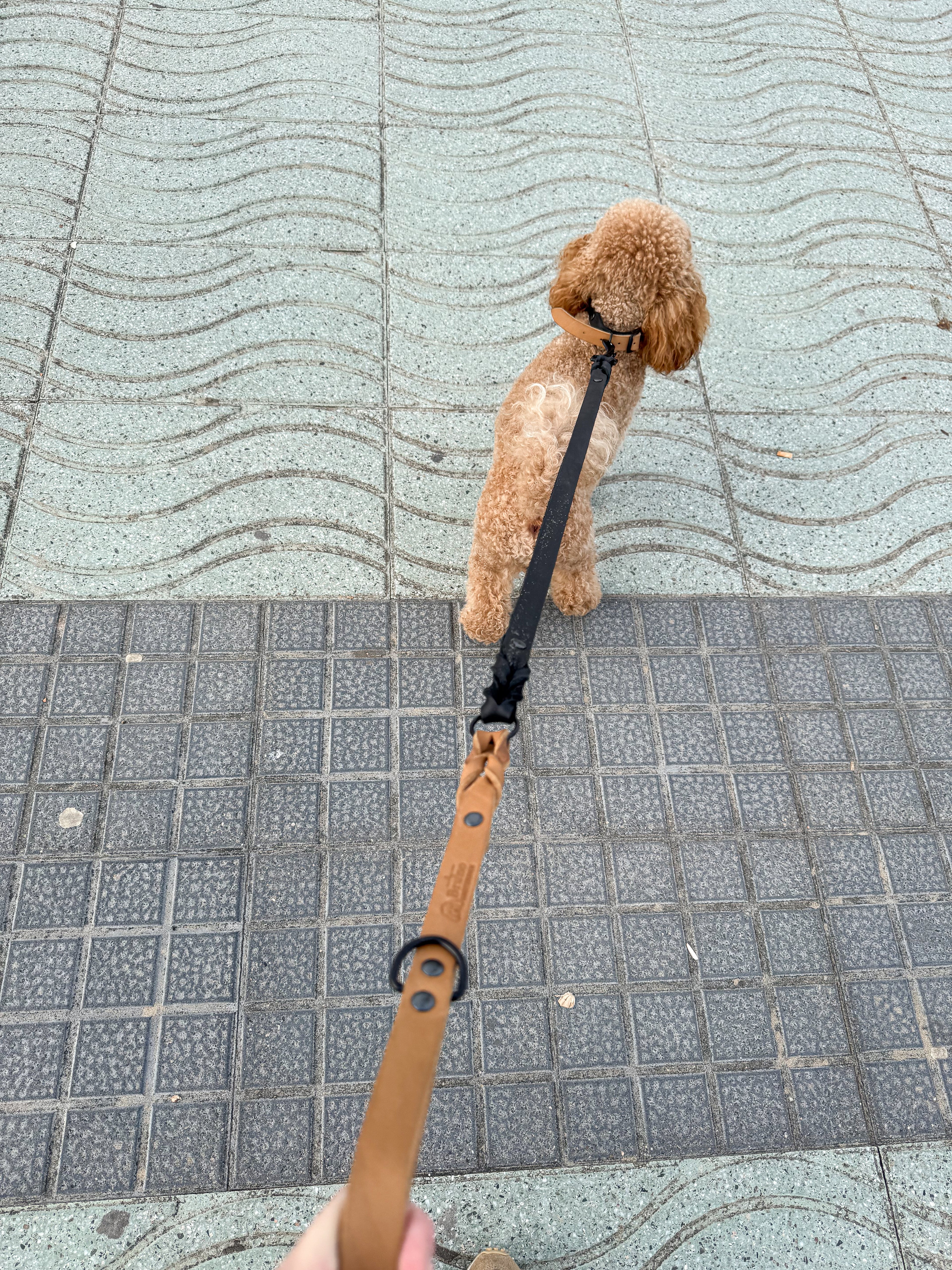 Greased Leather Leash Camel