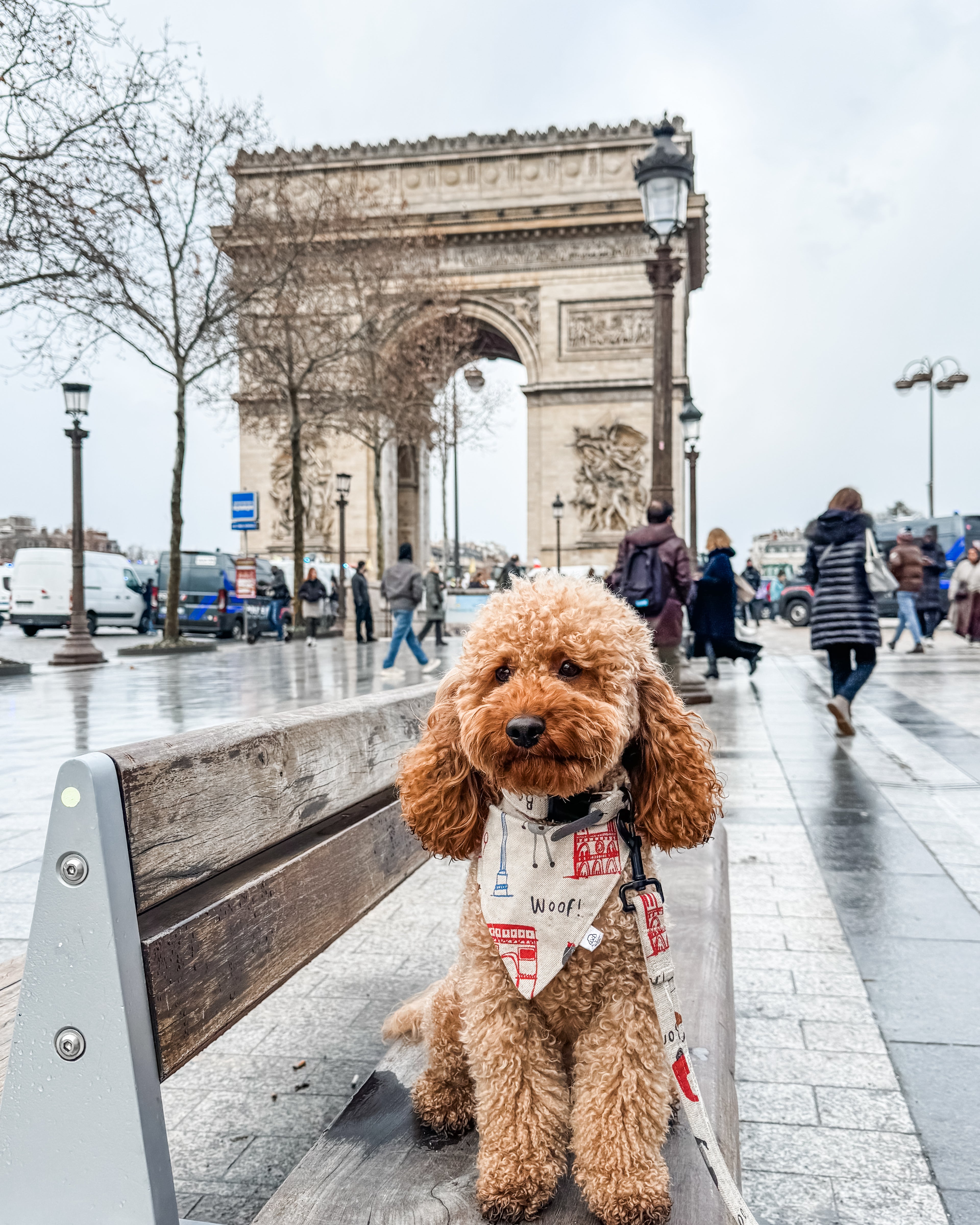 Paris bandana