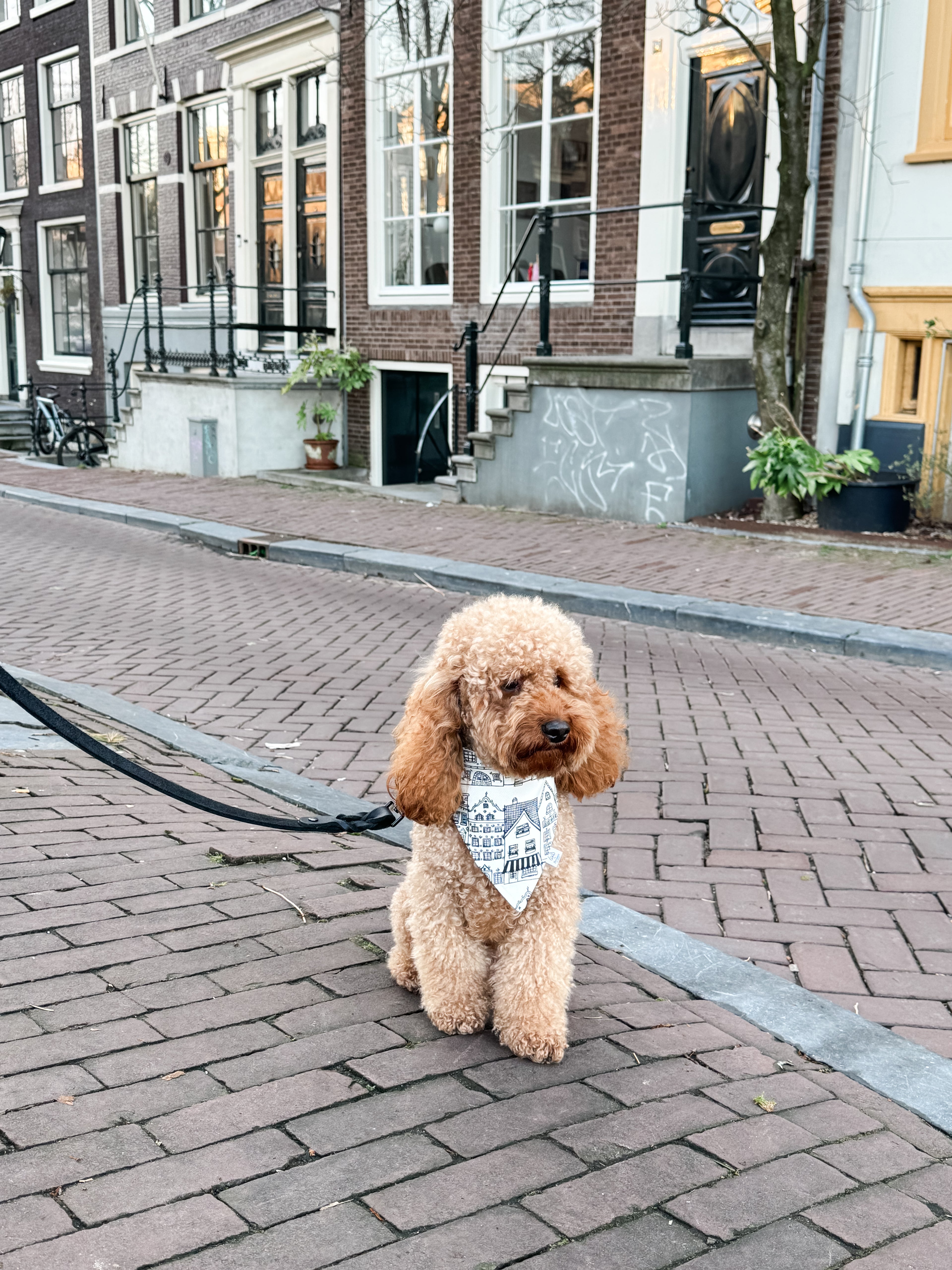 Amsterdam Bandana