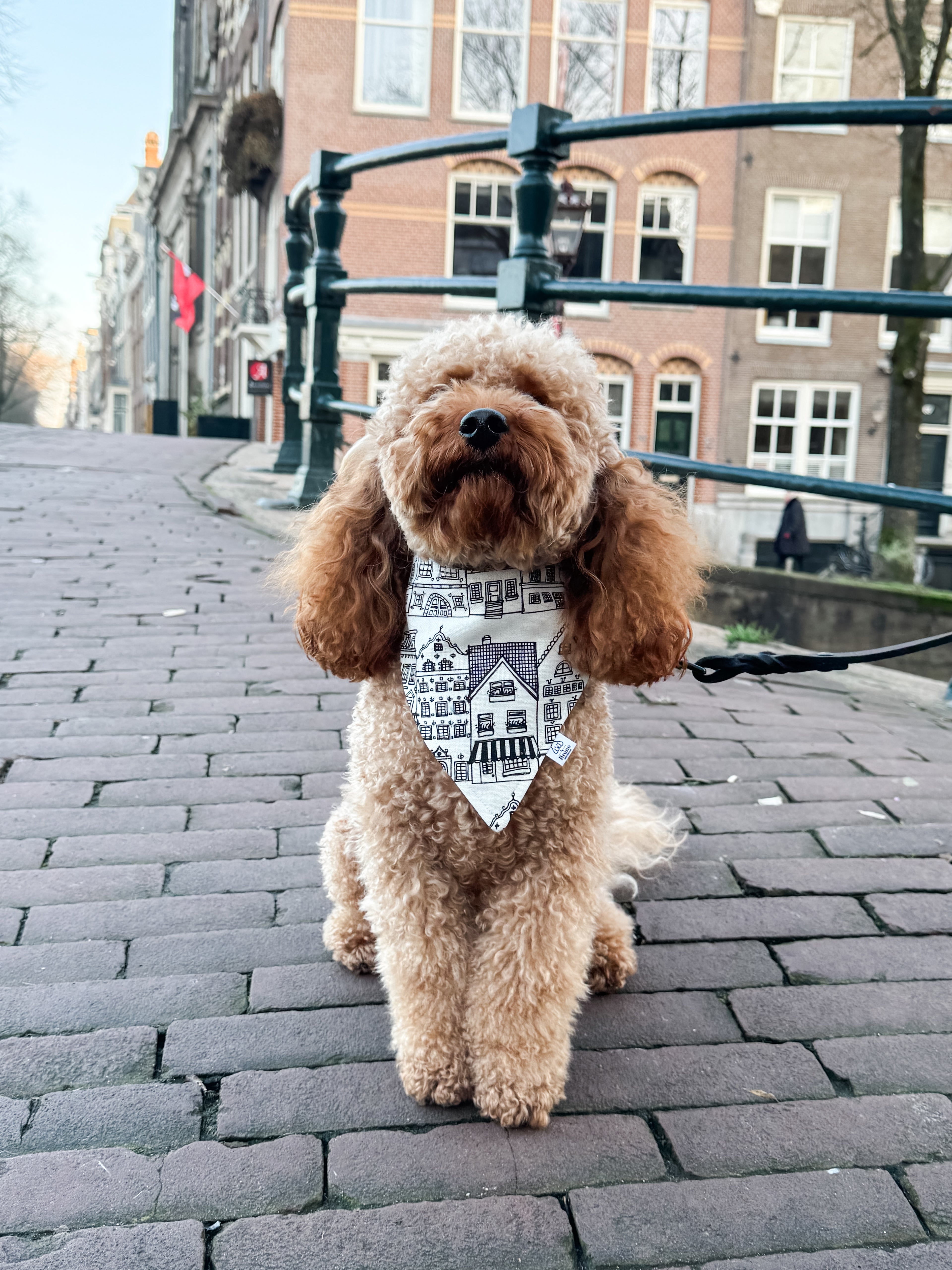 Amsterdam Bandana