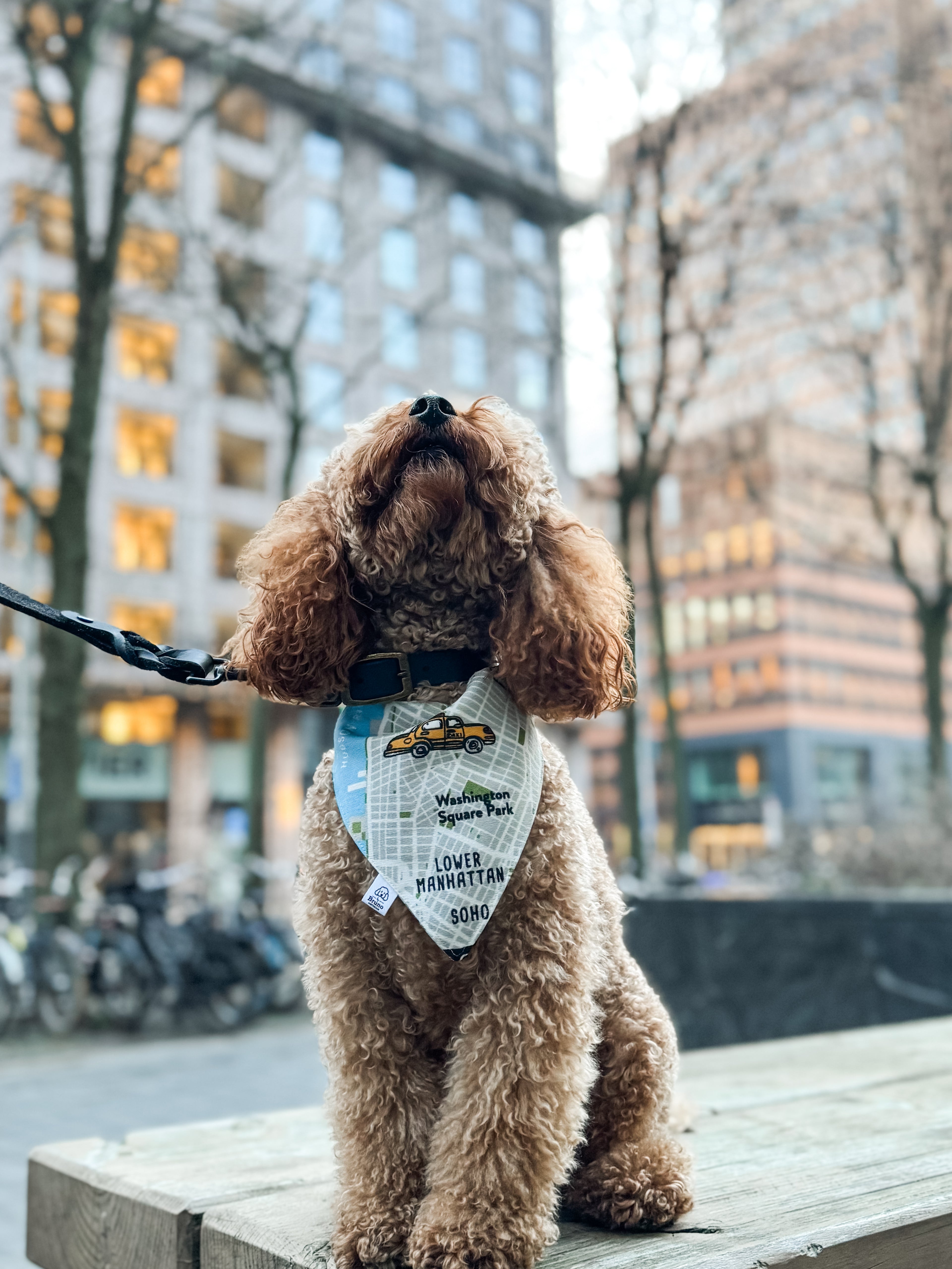New York City Bandana