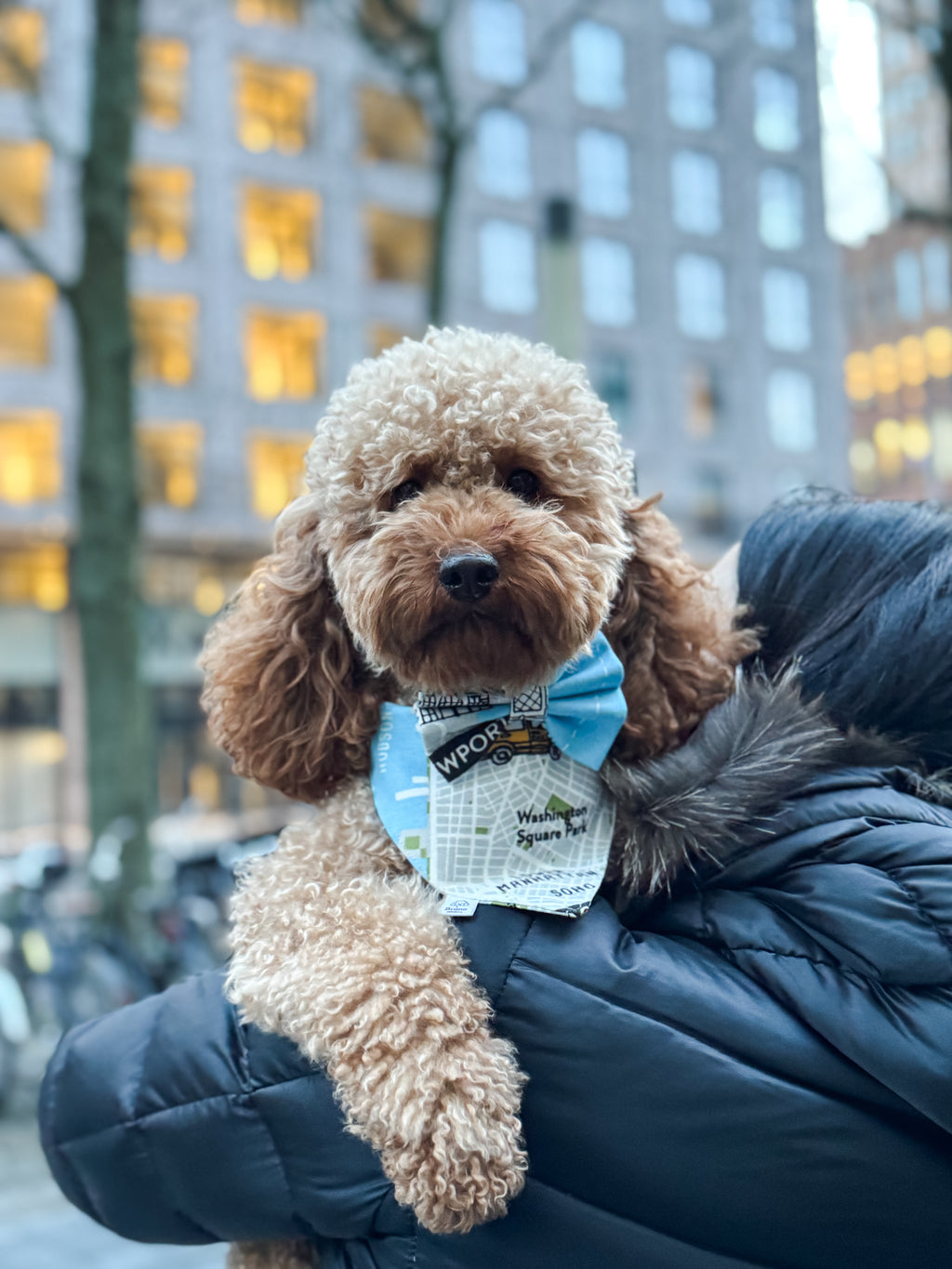 New York City Bandana