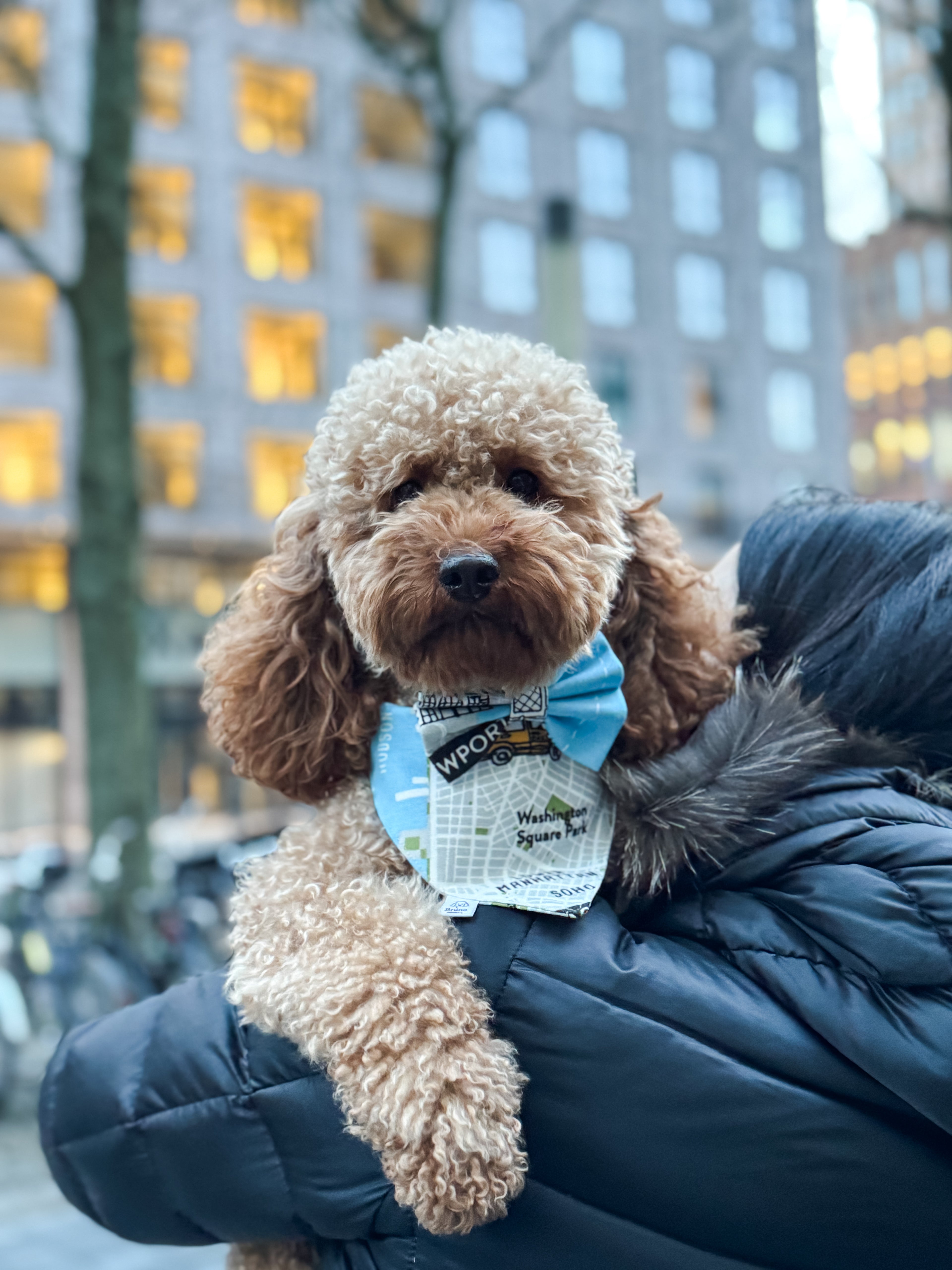New York City Bandana