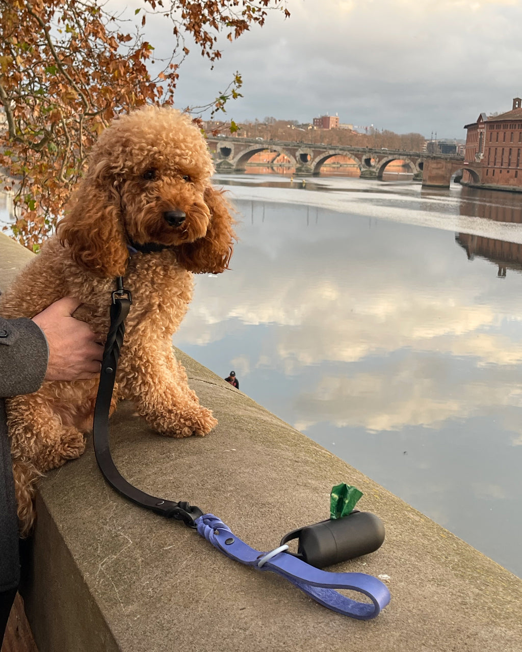 Greased Leather Leash Royal Blue