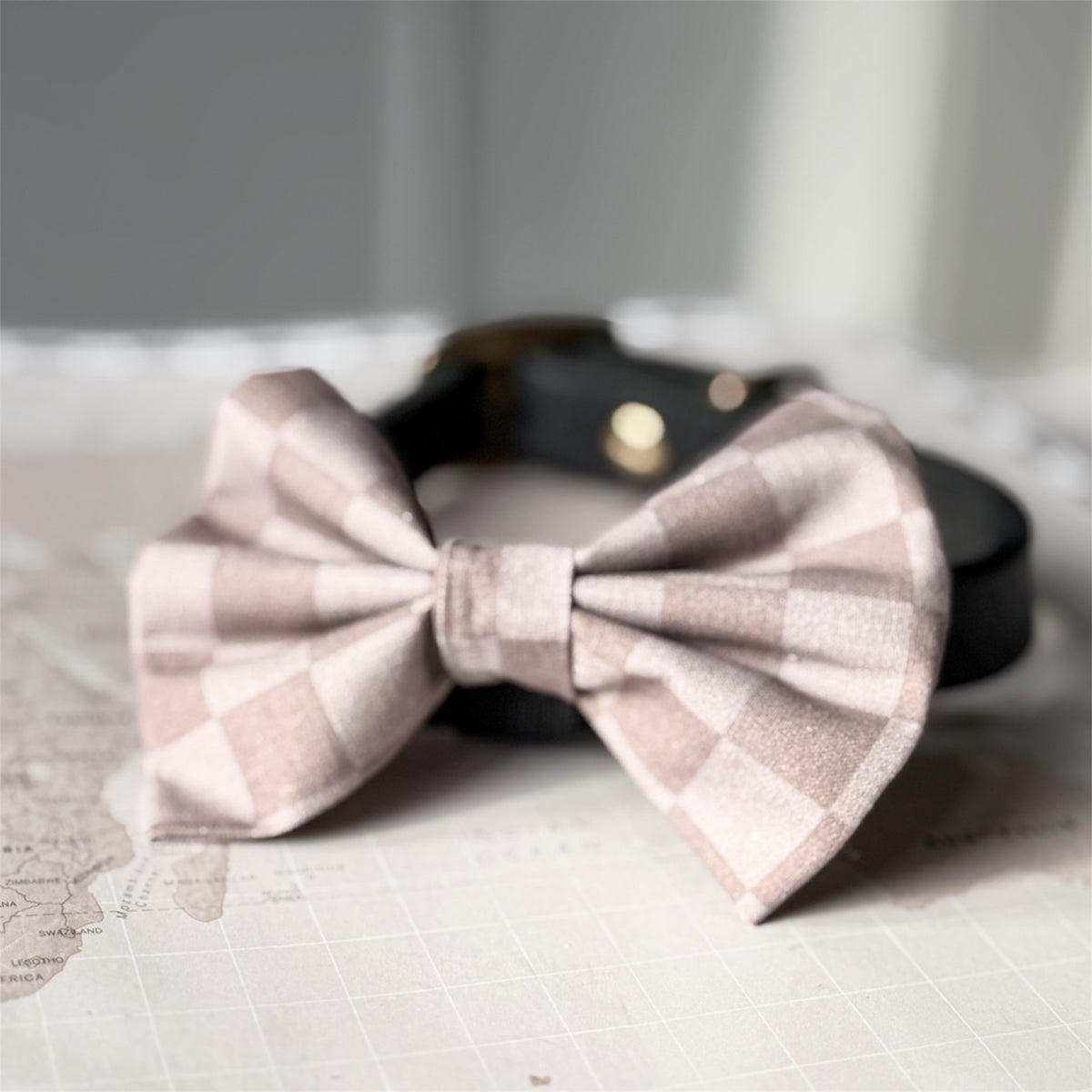 A brown and beige gingham dog check bow tie styled on a black leather collar, placed on a light-colored map surface.
