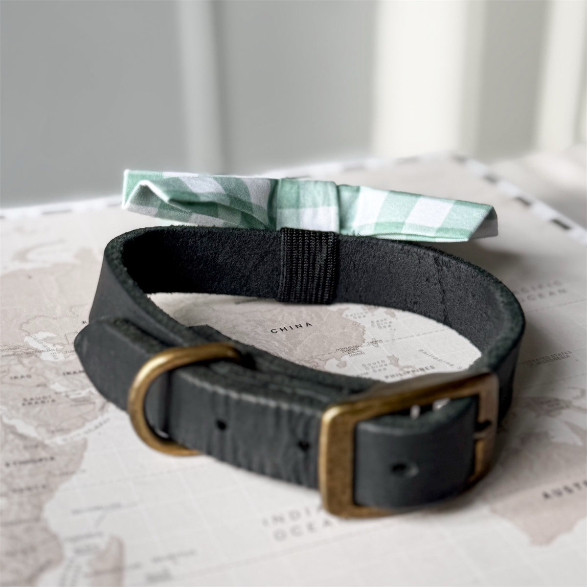 A black leather dog collar with a brass buckle and a matching green and white gingham bow, displayed on a vintage-style world map.