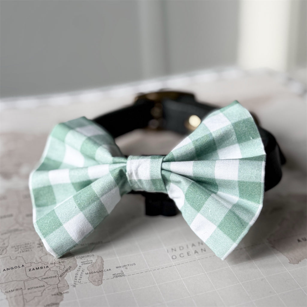 A green and white gingham dog bow tie displayed on a black leather collar, resting on a vintage-style world map.