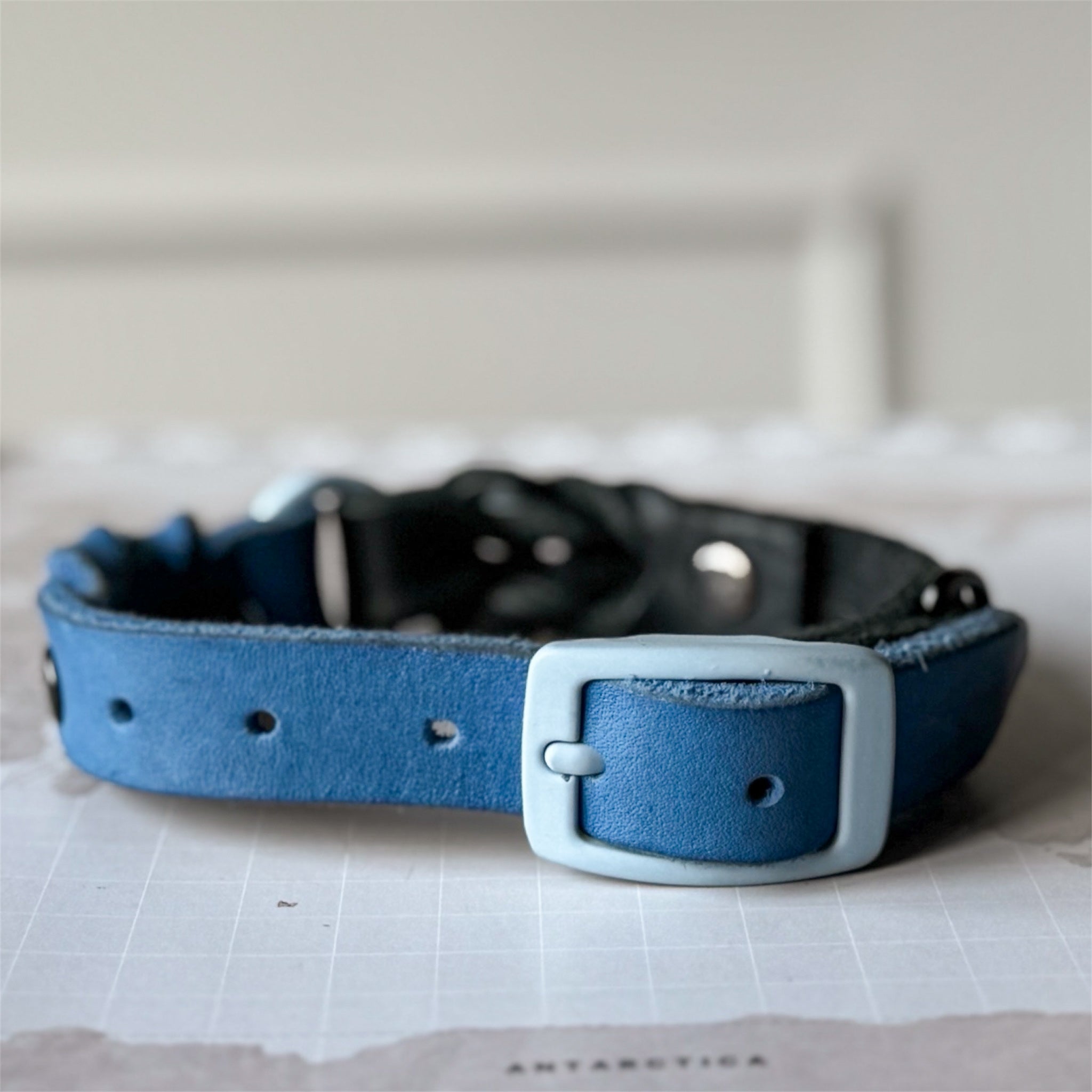 Greased Leather Royal Blue Dog Collar