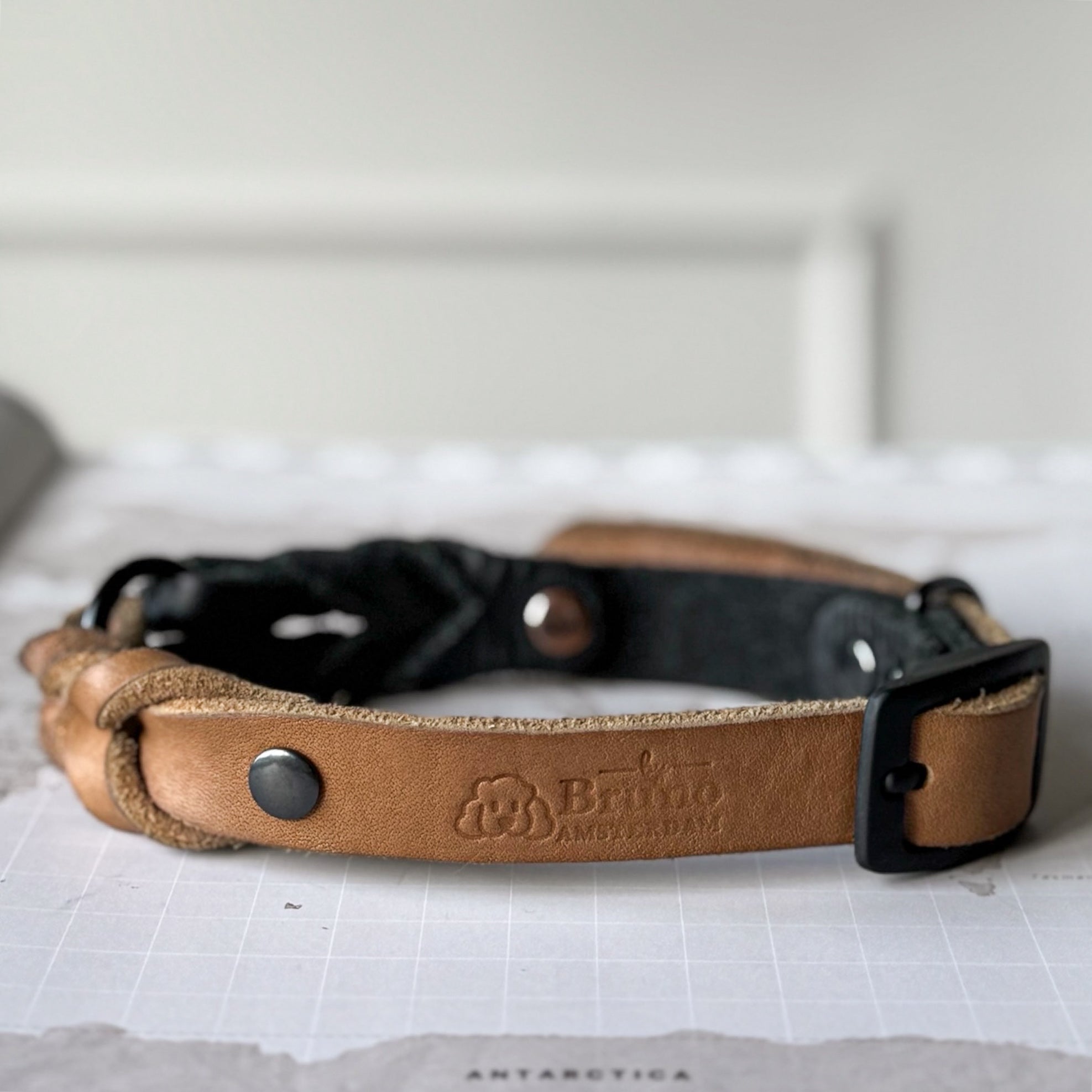 Greased Leather Camel Dog Collar