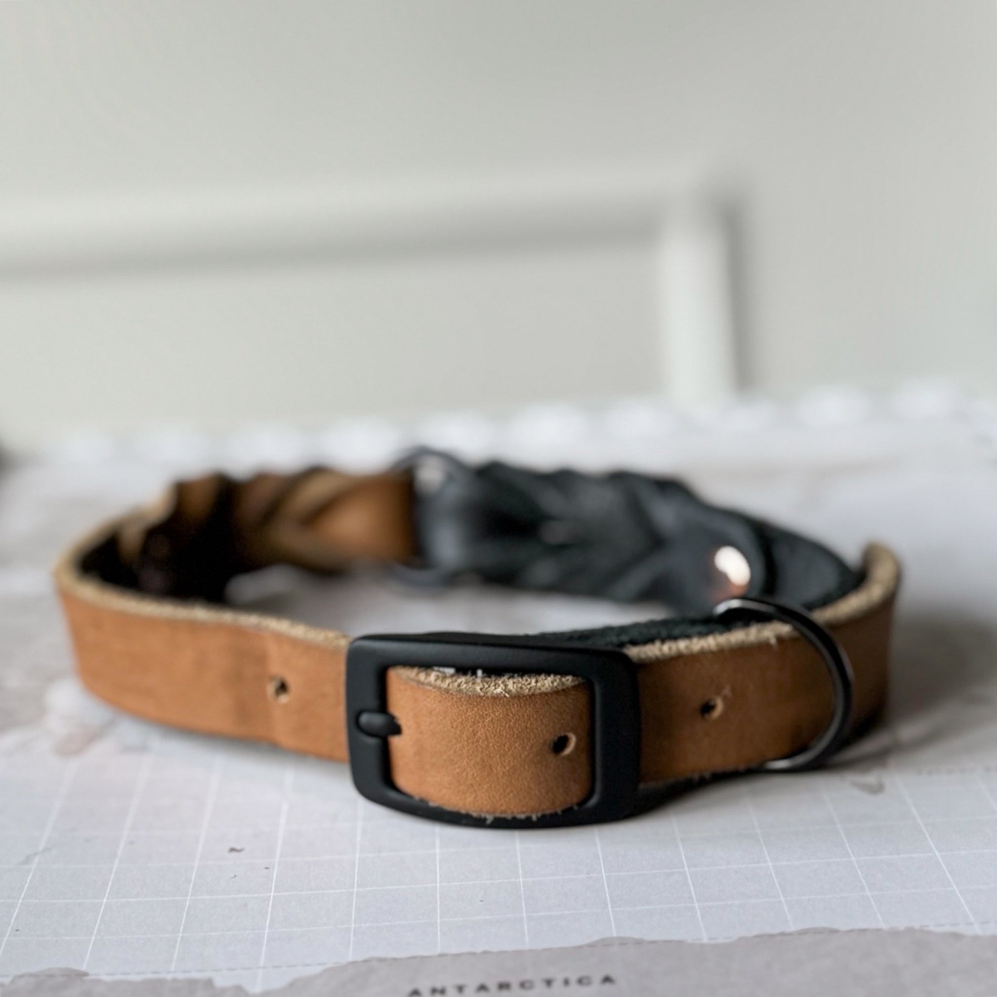 Greased Leather Camel Dog Collar