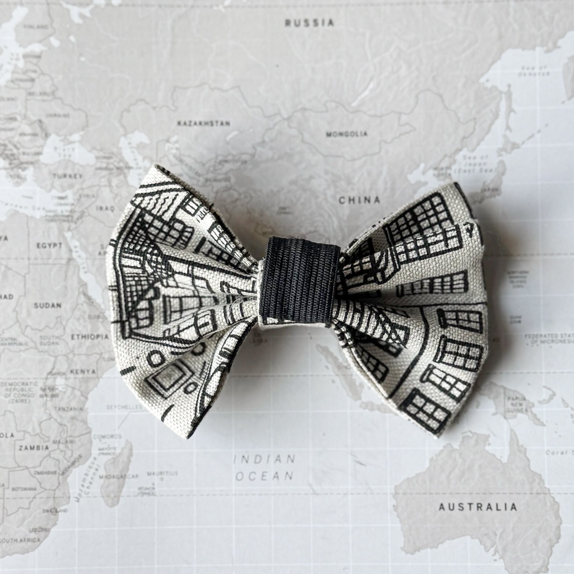 Back side of a  dog bow with Amsterdam Canal Houses print on a world map background.