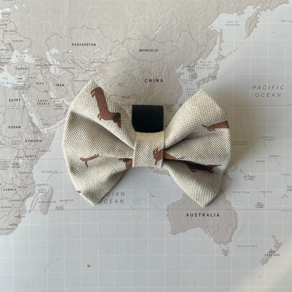 Dachshunds Bow