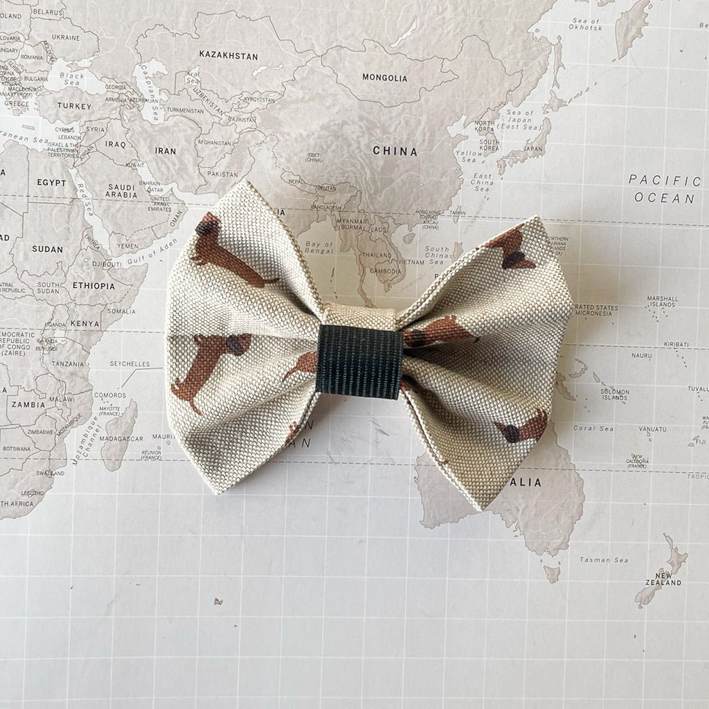 Dachshunds Bow