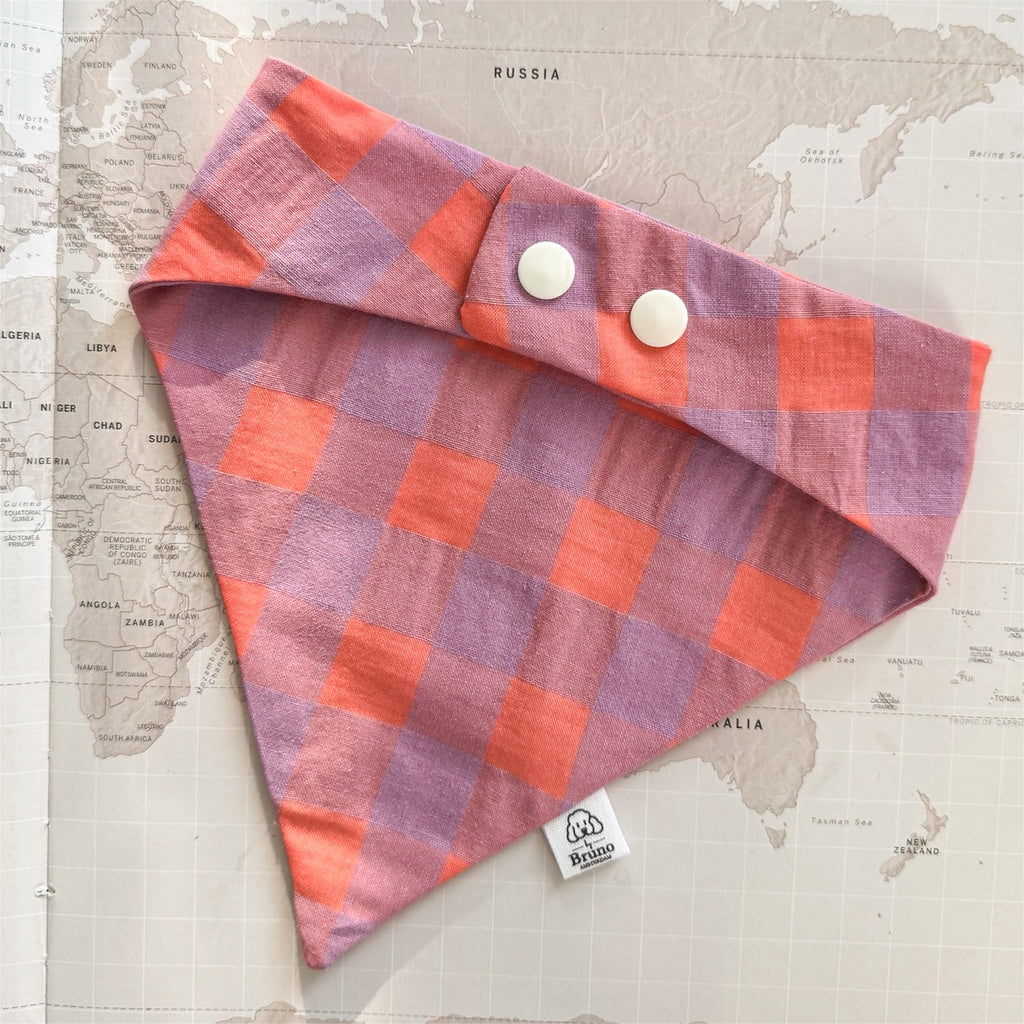 Folded checkered dog bandana with buttons on a world map background