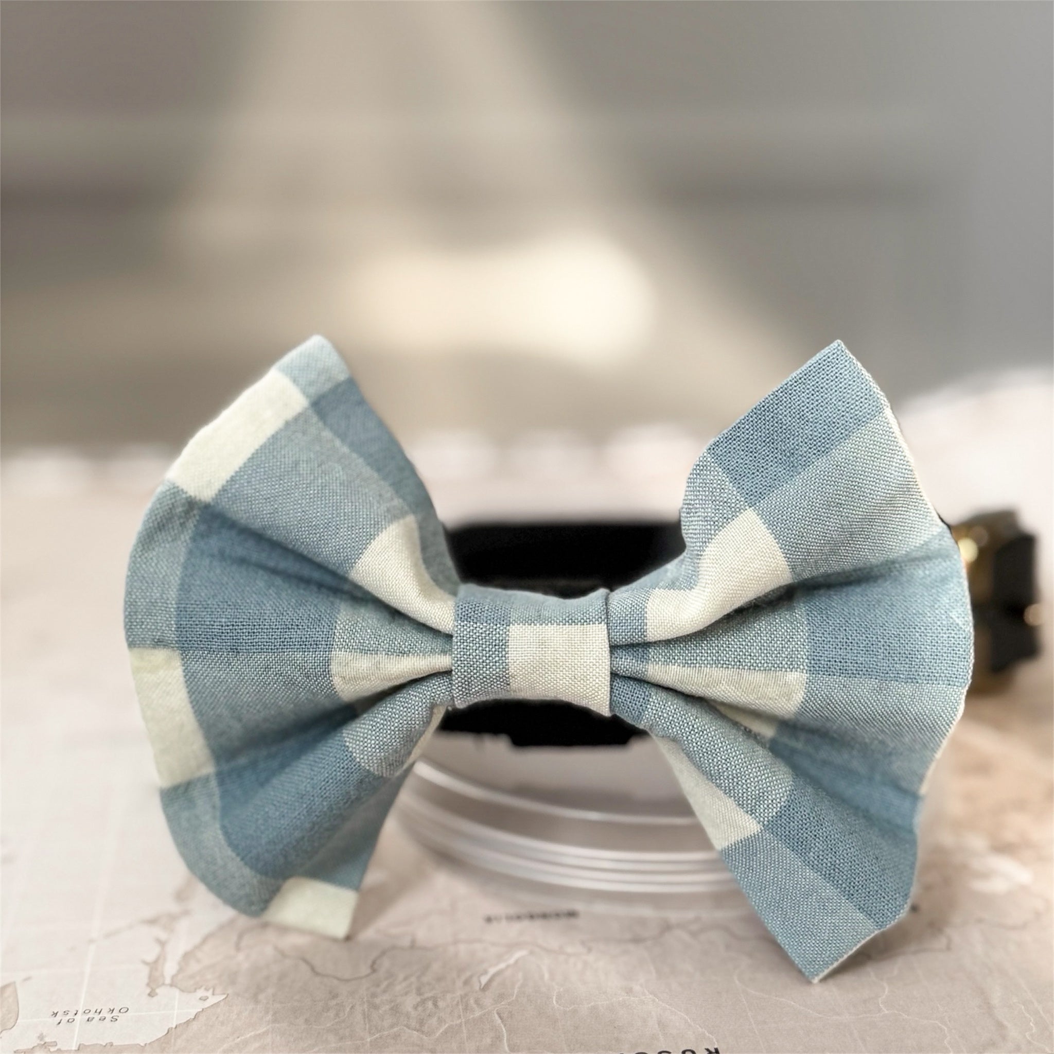 Blue and white checkered bow tie on a neutral background.