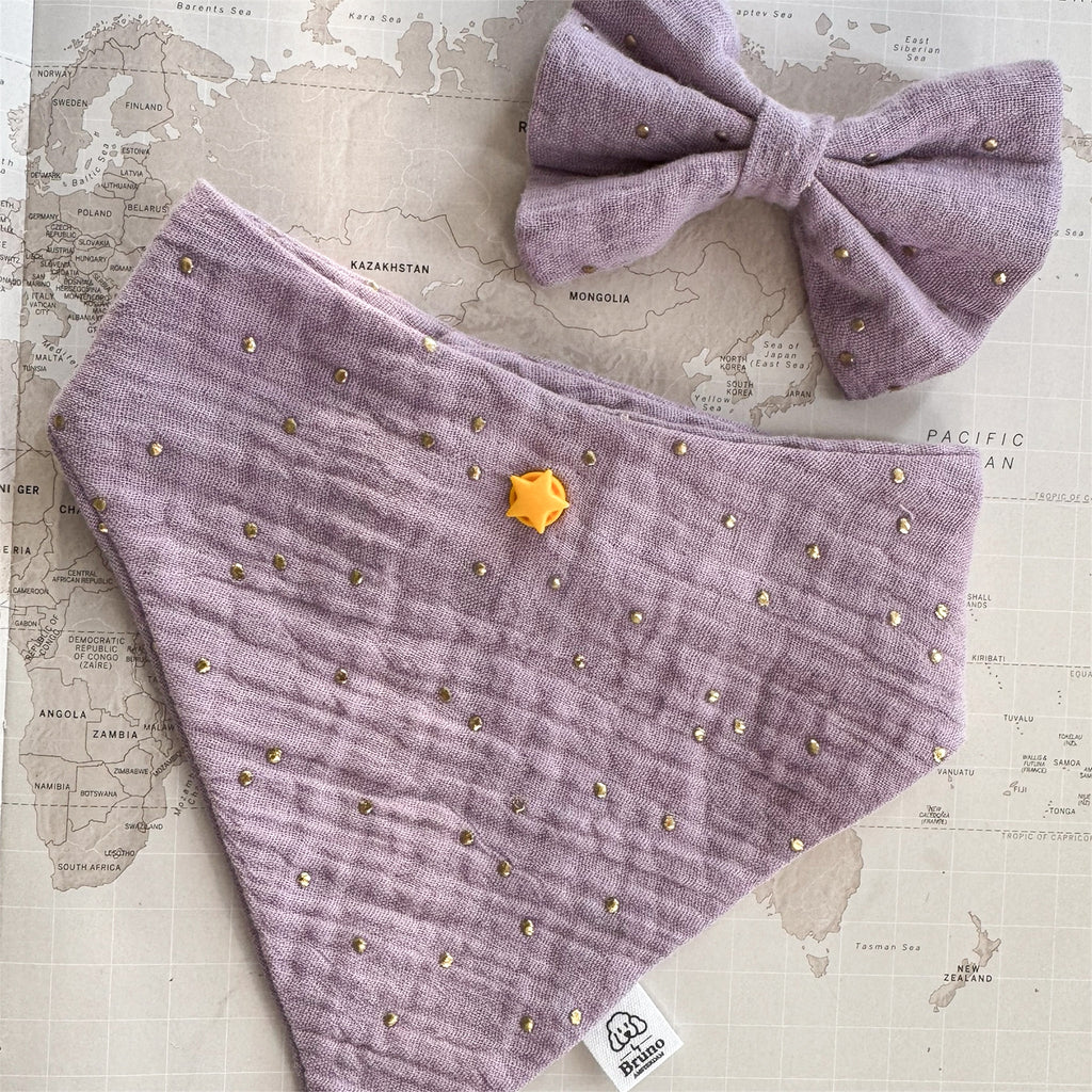 Purple dog bandana with gold studs and matching bow on a world map background
