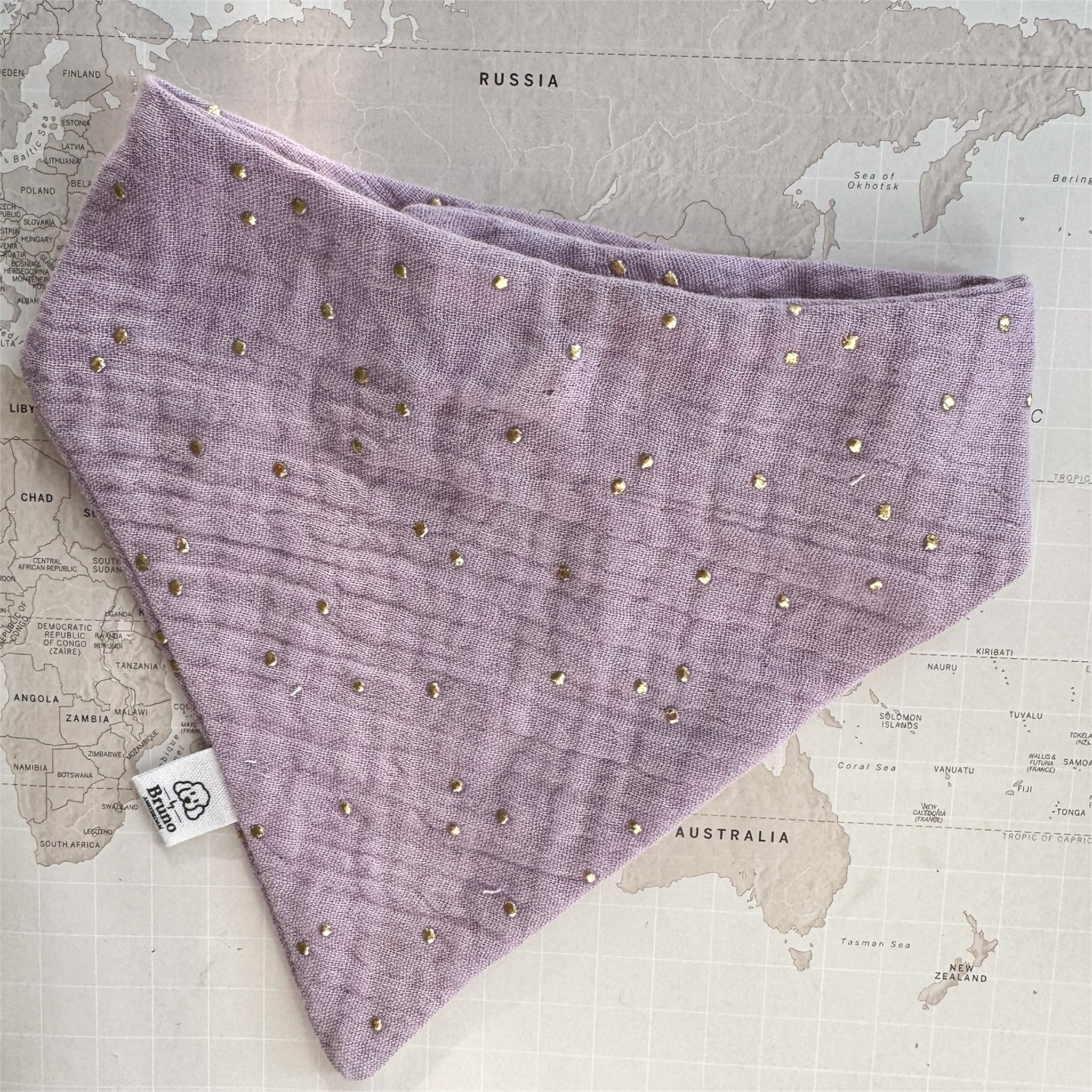 Purple dog bandana with gold studs on a world map background.

