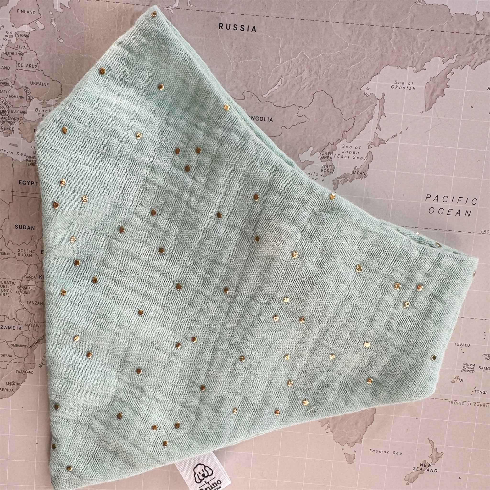 Mint dog bandana with golden studs on a world map background
