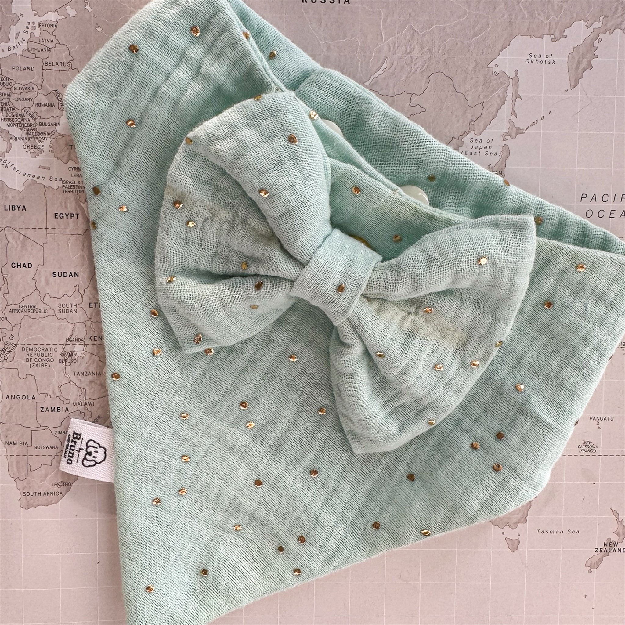 Mint dog bandana with golden studs and a bow on a world map background
