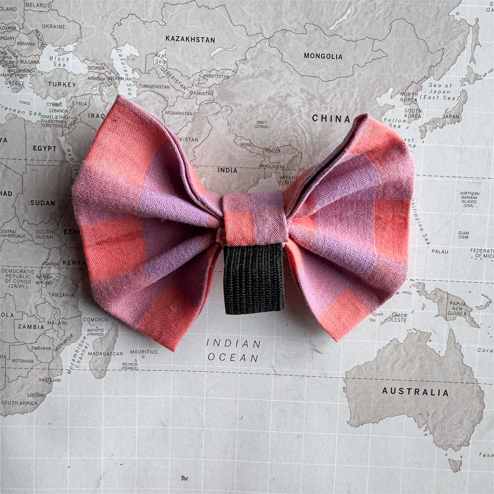 Back side of the checkered dog bow with an elastic loop
