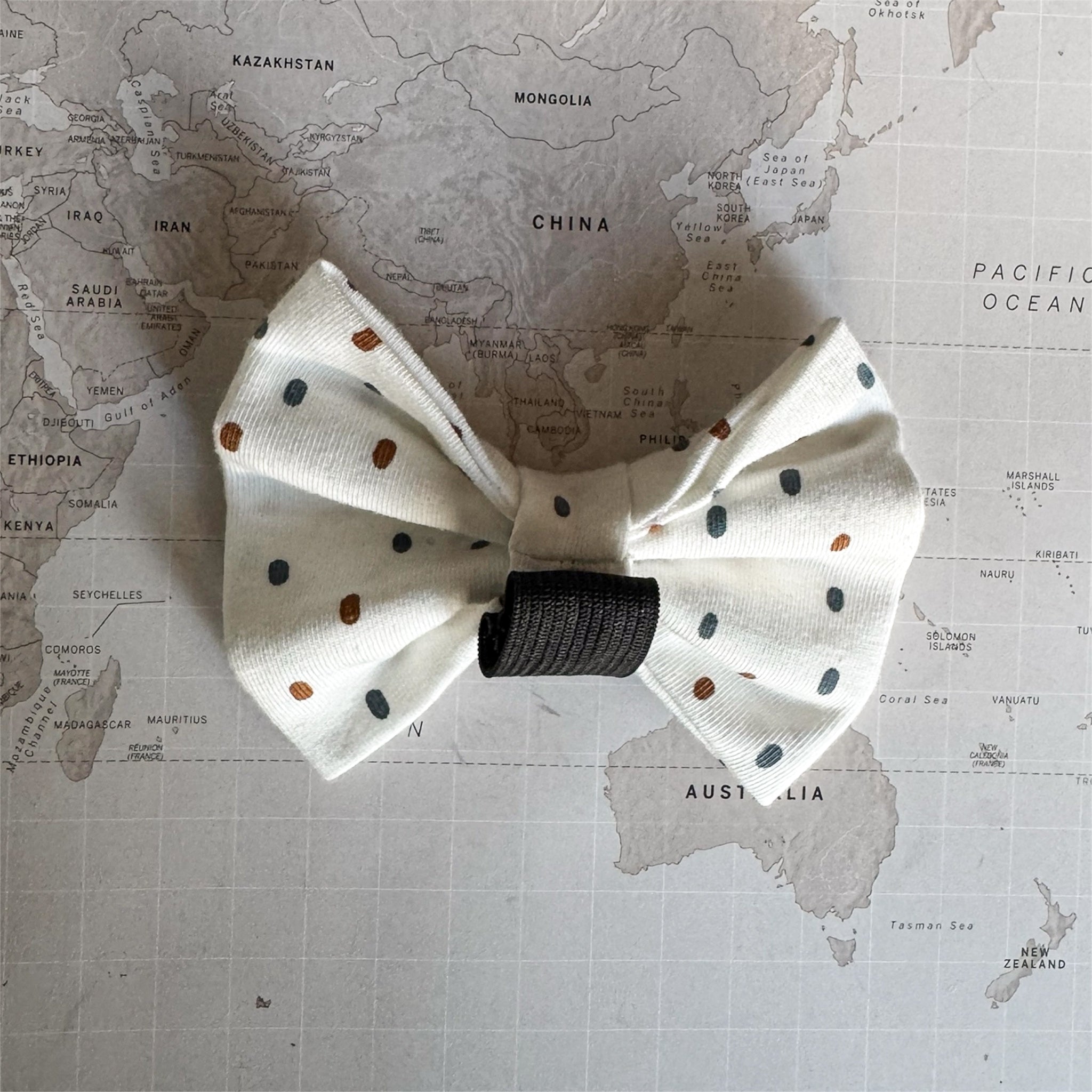 Back of the white dog bow with brown and blue polka dots and elastic loop on a world map background.
