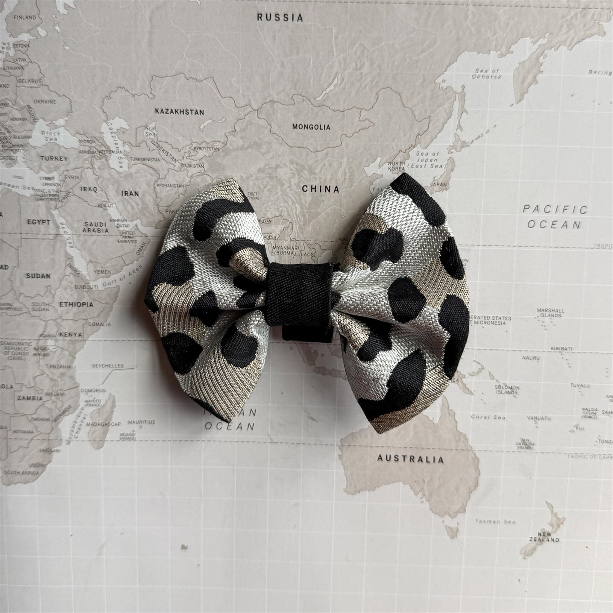 Leopard dog bow on a world map background.