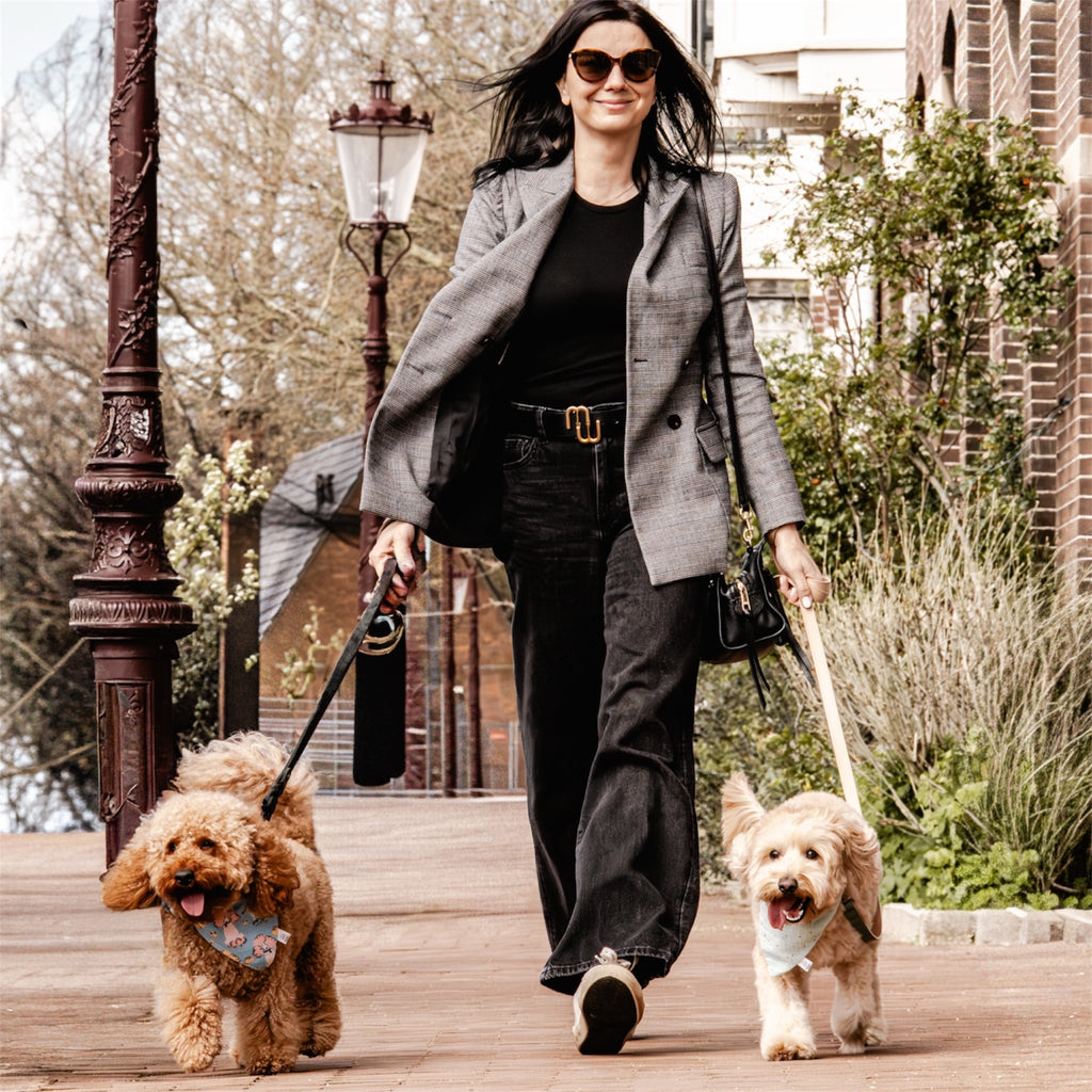 A woman walking a poodle wearing Poodles dog bandana and a doodle wearing Mint Celeste bandana.
