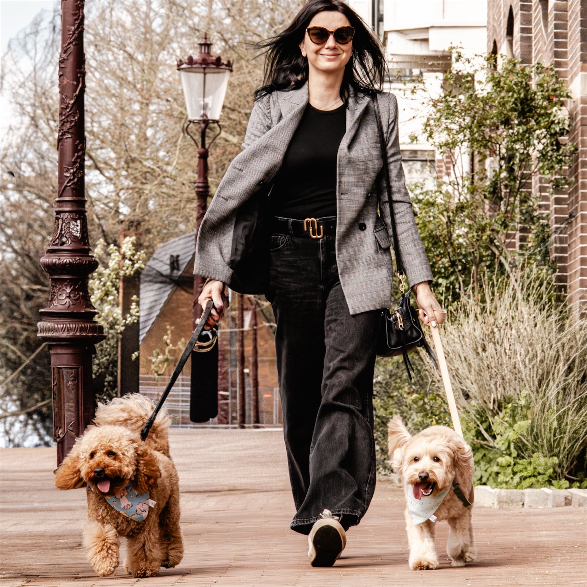 A woman walking a poodle wearing Poodles dog bandana and a doodle wearing Mint Celeste bandana.