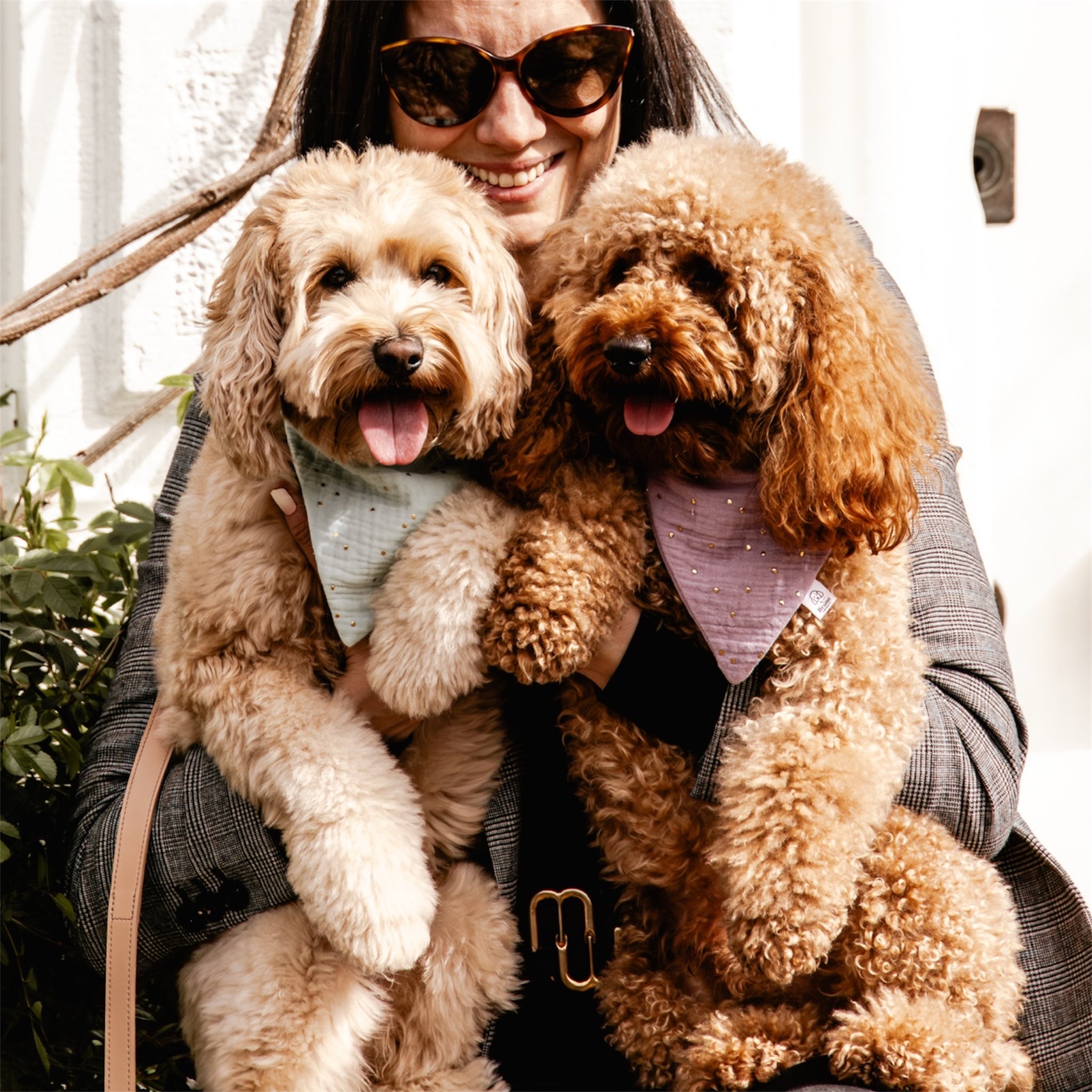 A doodle and a poodle wearing Celeste Mint and Lilac bandanas, sitting on a woman's lap.