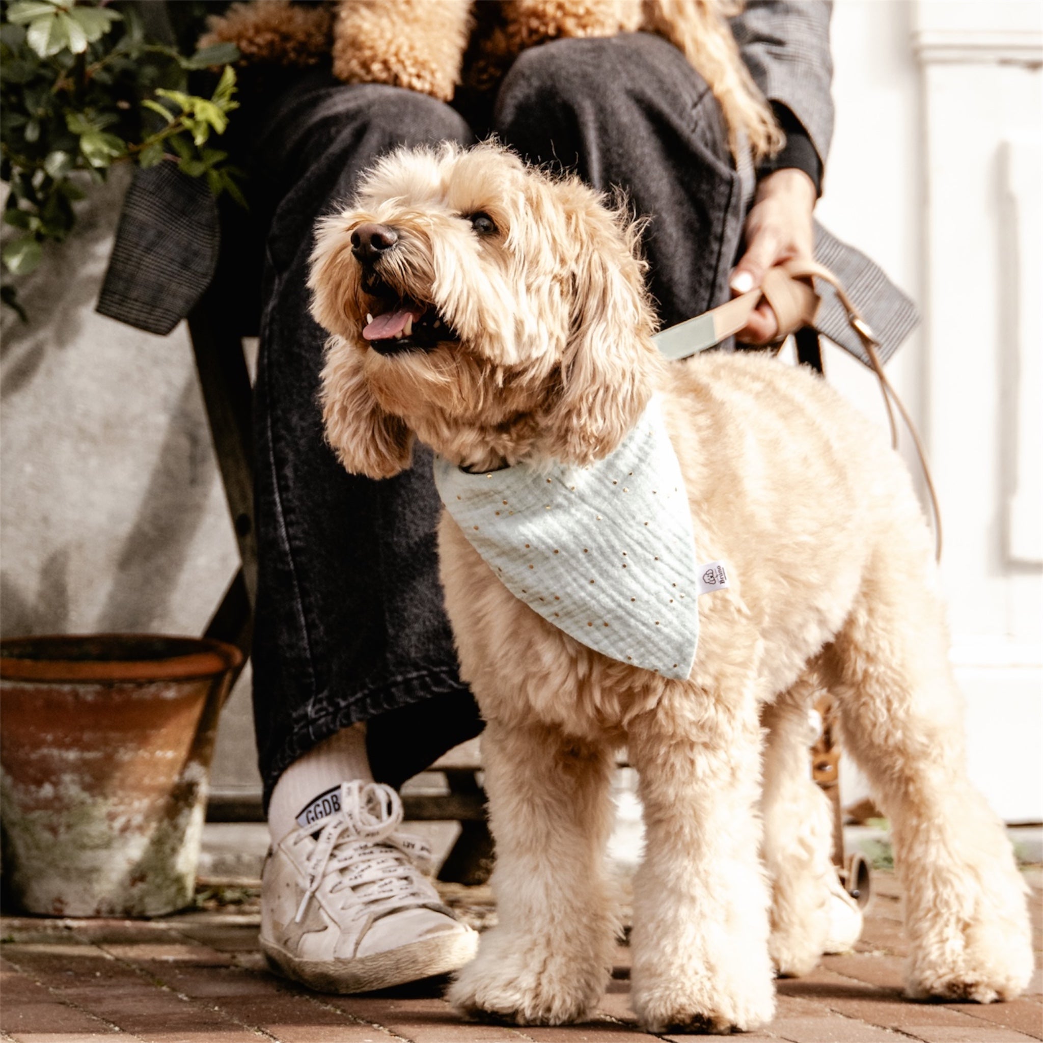 A doodle wearing the Celeste Mint bandana.