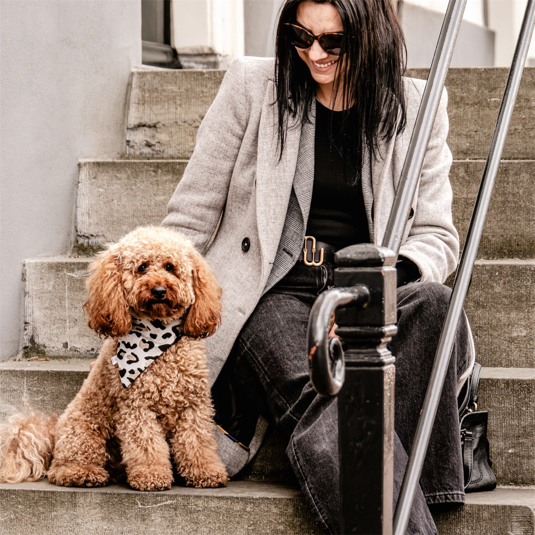 A poodle wearing the leopard bandana sitting on a woman's lap.