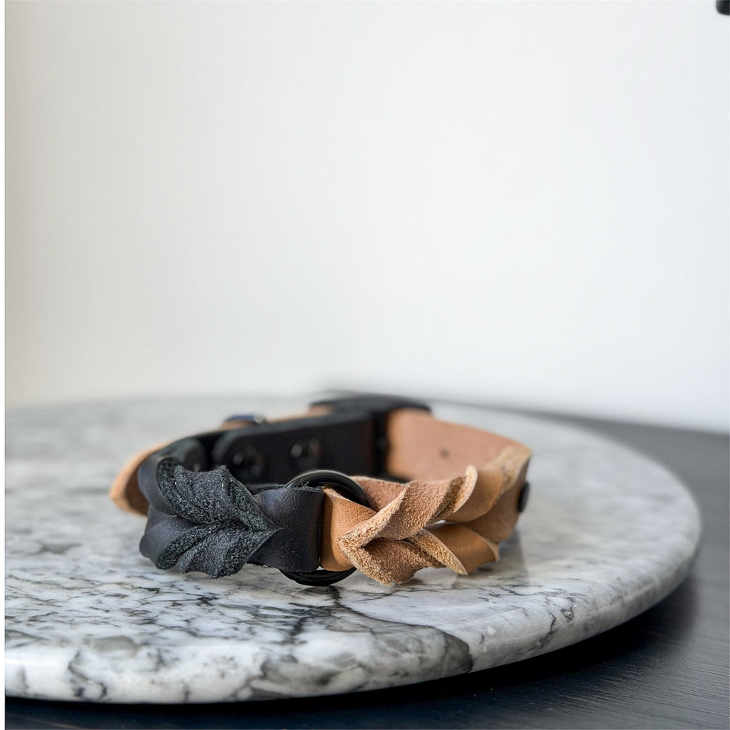 Handmade braided leather dog collar in black and tan on a light map background.