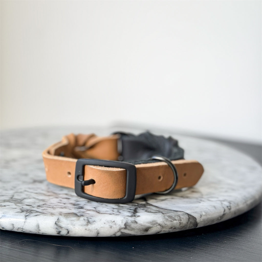 Handmade braided leather dog collar in black and camel on a light map background.