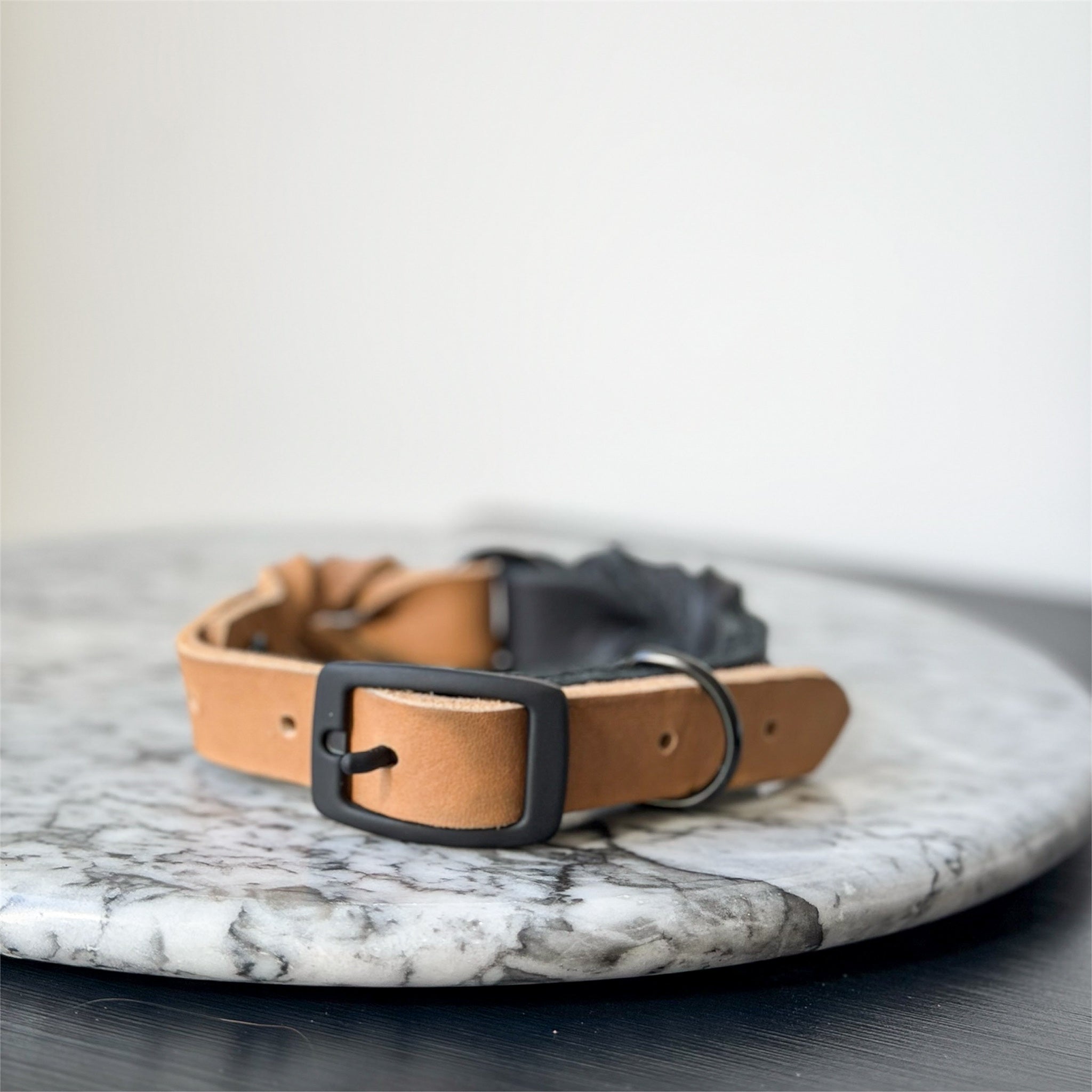 Handmade braided leather dog collar in black and camel on a light map background.