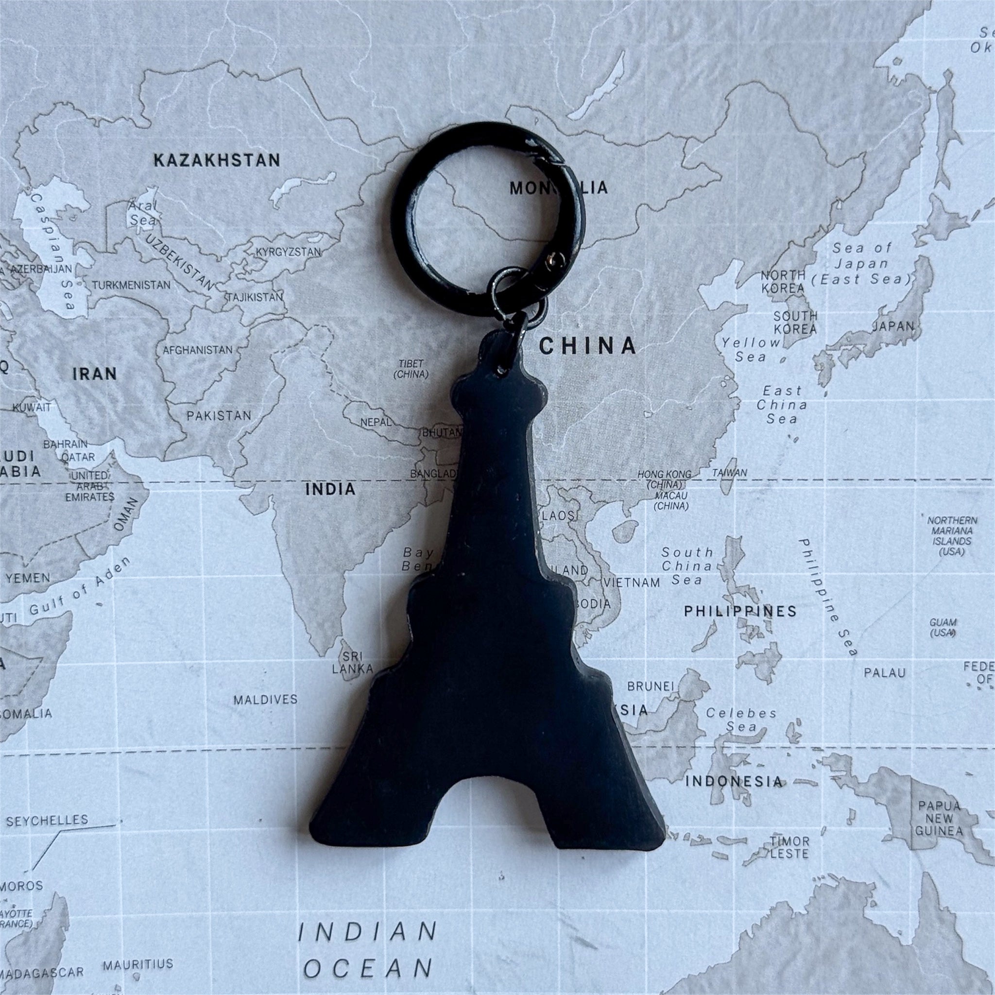 Eiffel Tower dog tag size L on a world map surface.