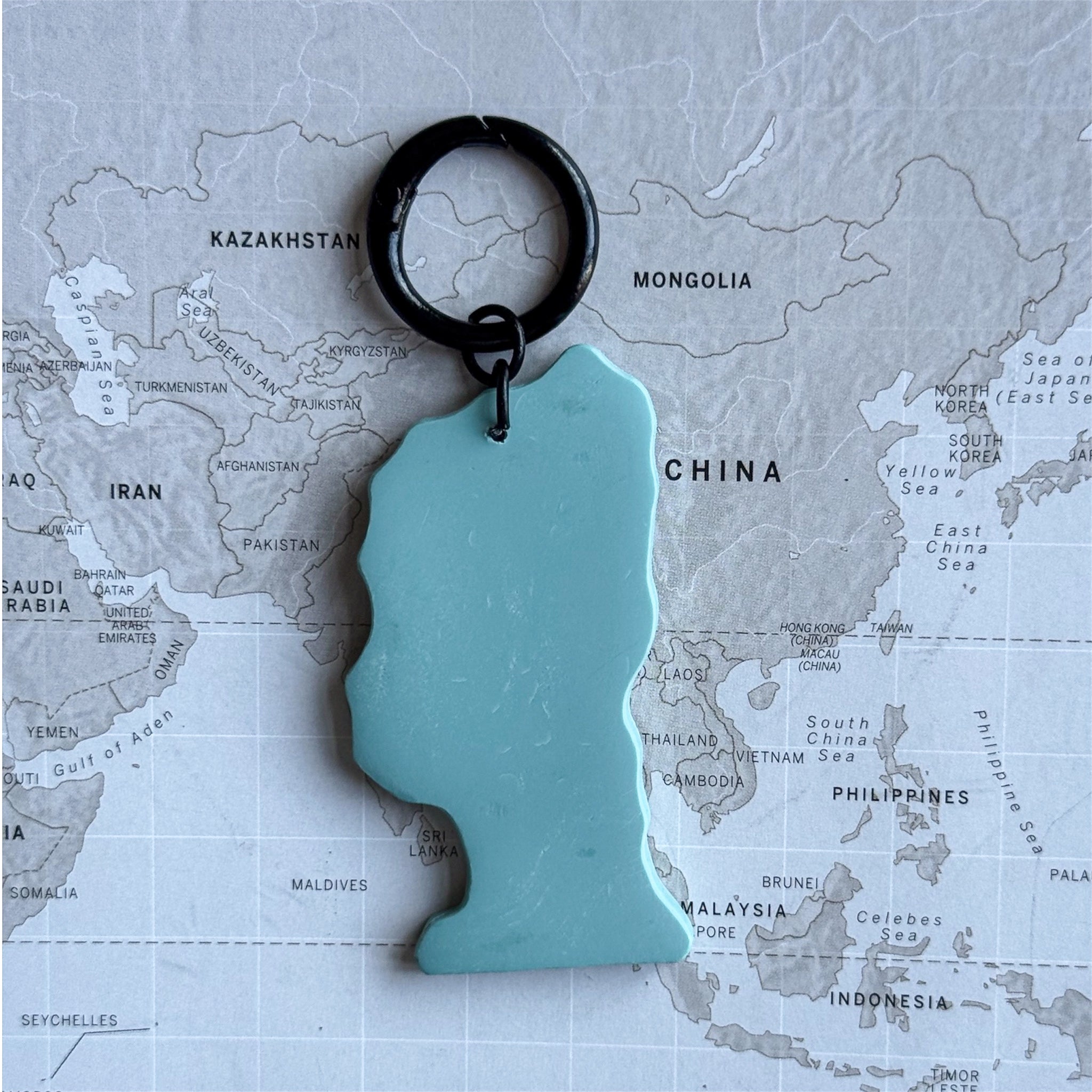 Statue of Liberty dog tag on a world map surface, size L.